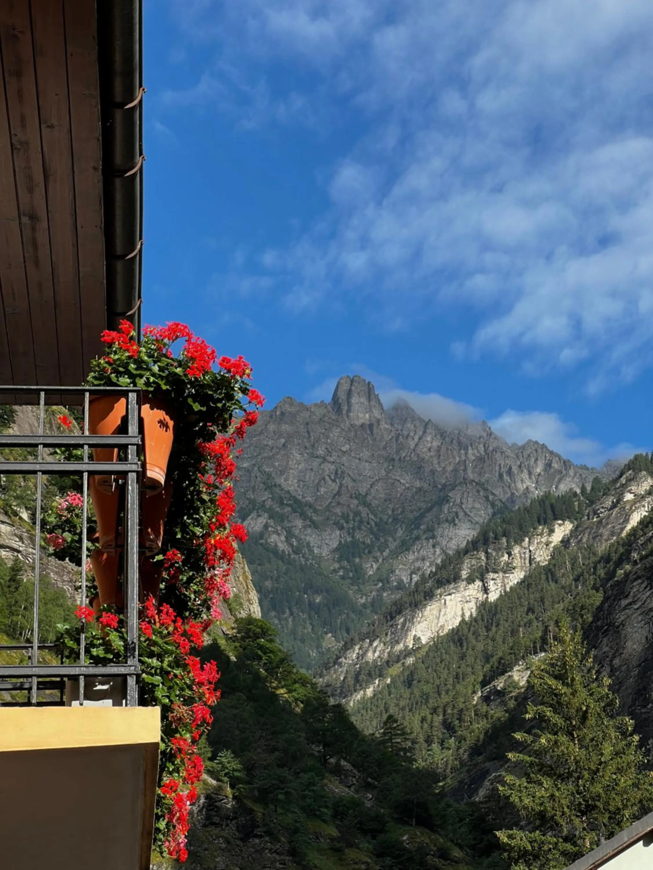 View (from property/room) in Pension Bellevue Gondo