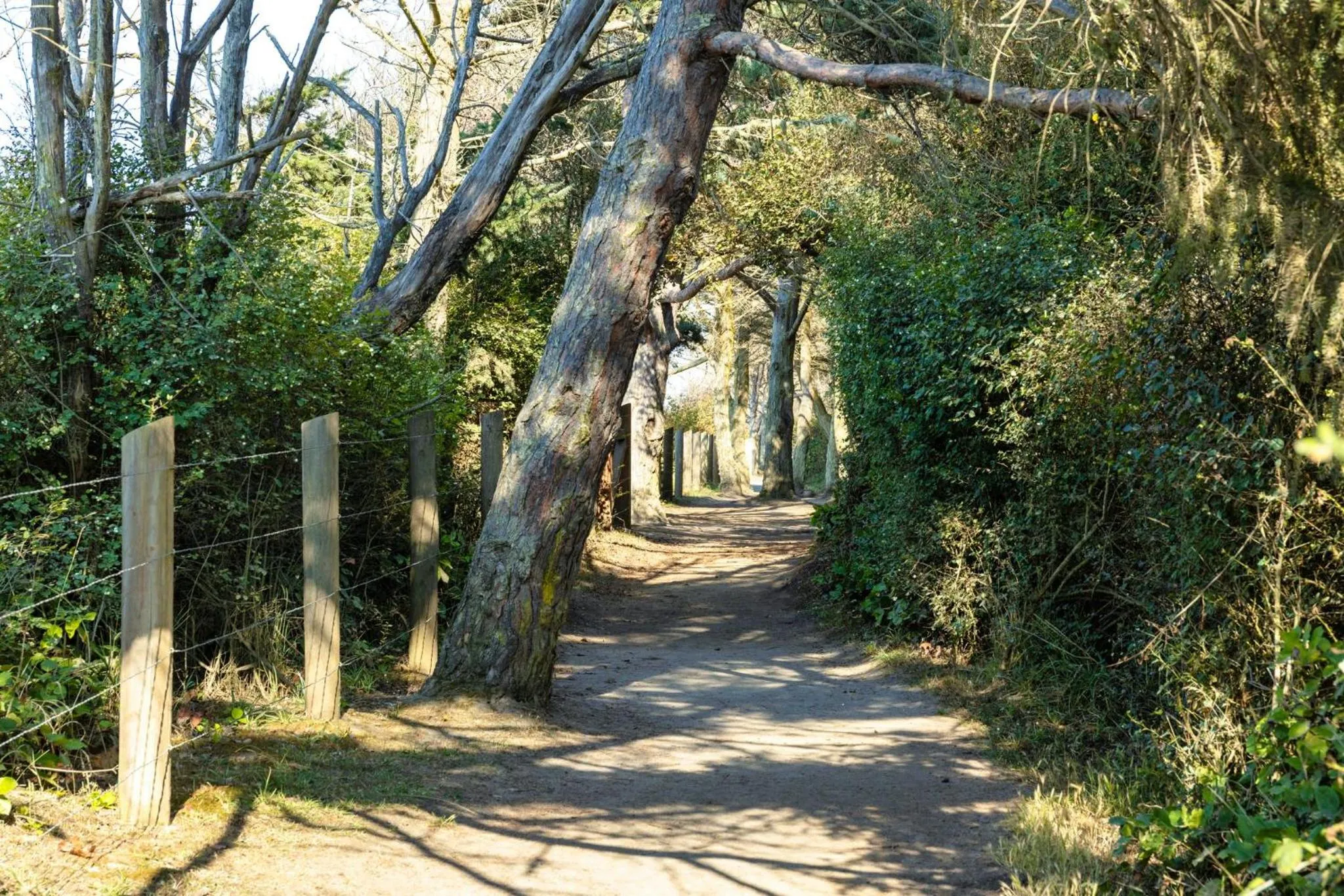 Nearby landmark in Holiday Inn Express Hotel & Suites North Sequim by IHG