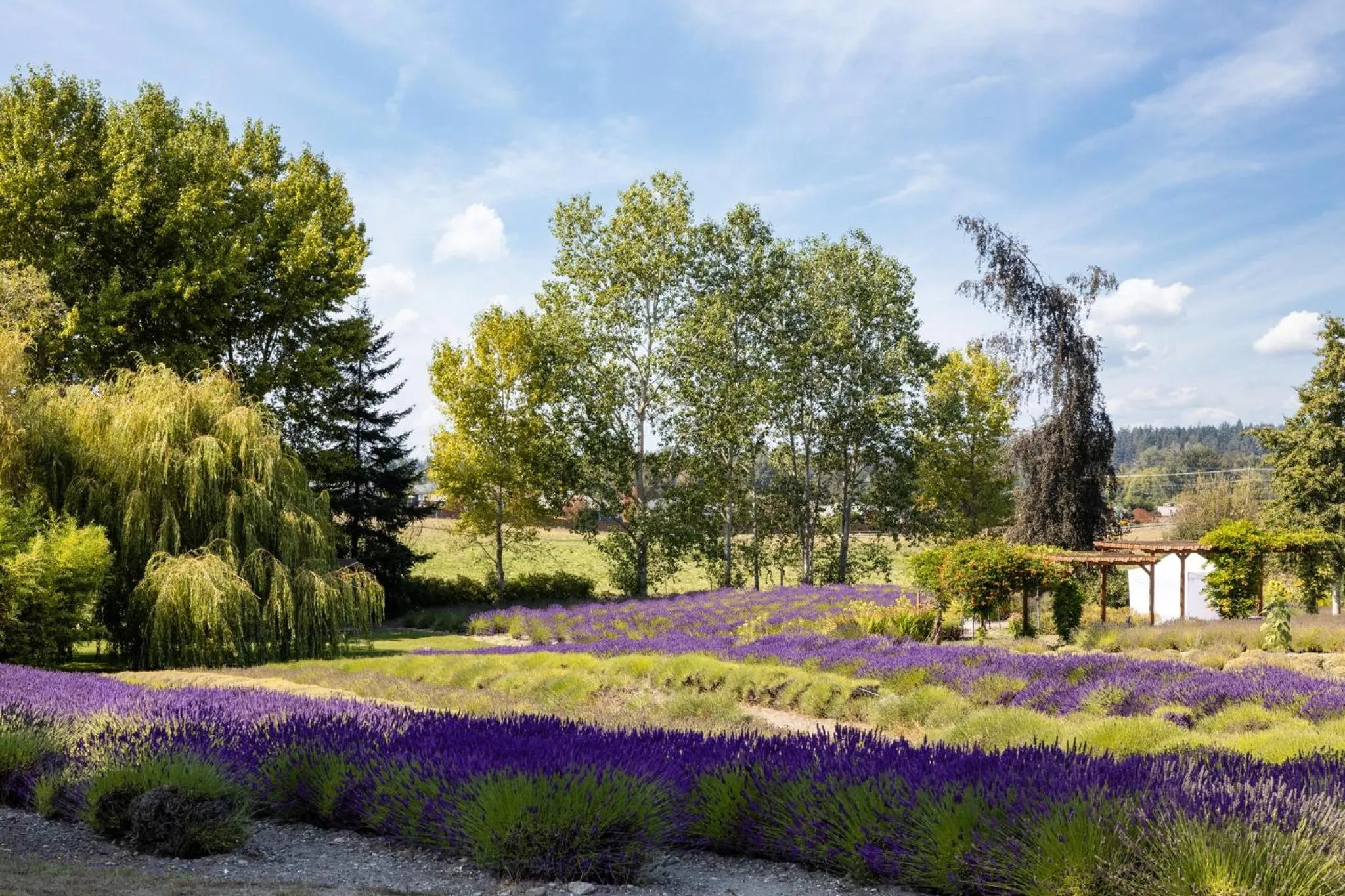 Nearby landmark in Holiday Inn Express Hotel & Suites North Sequim by IHG