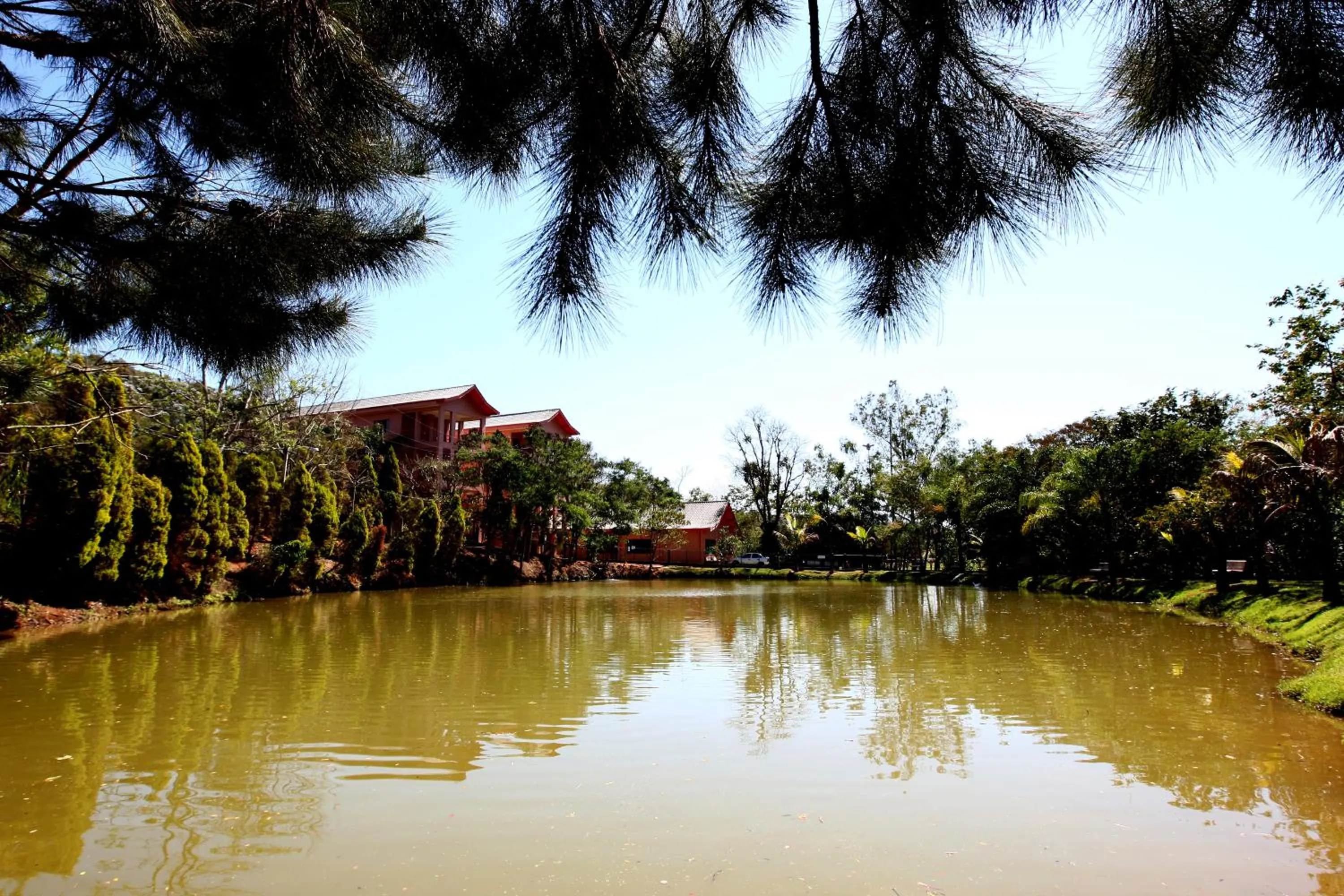 Fishing in Oscar Inn Eco Resort