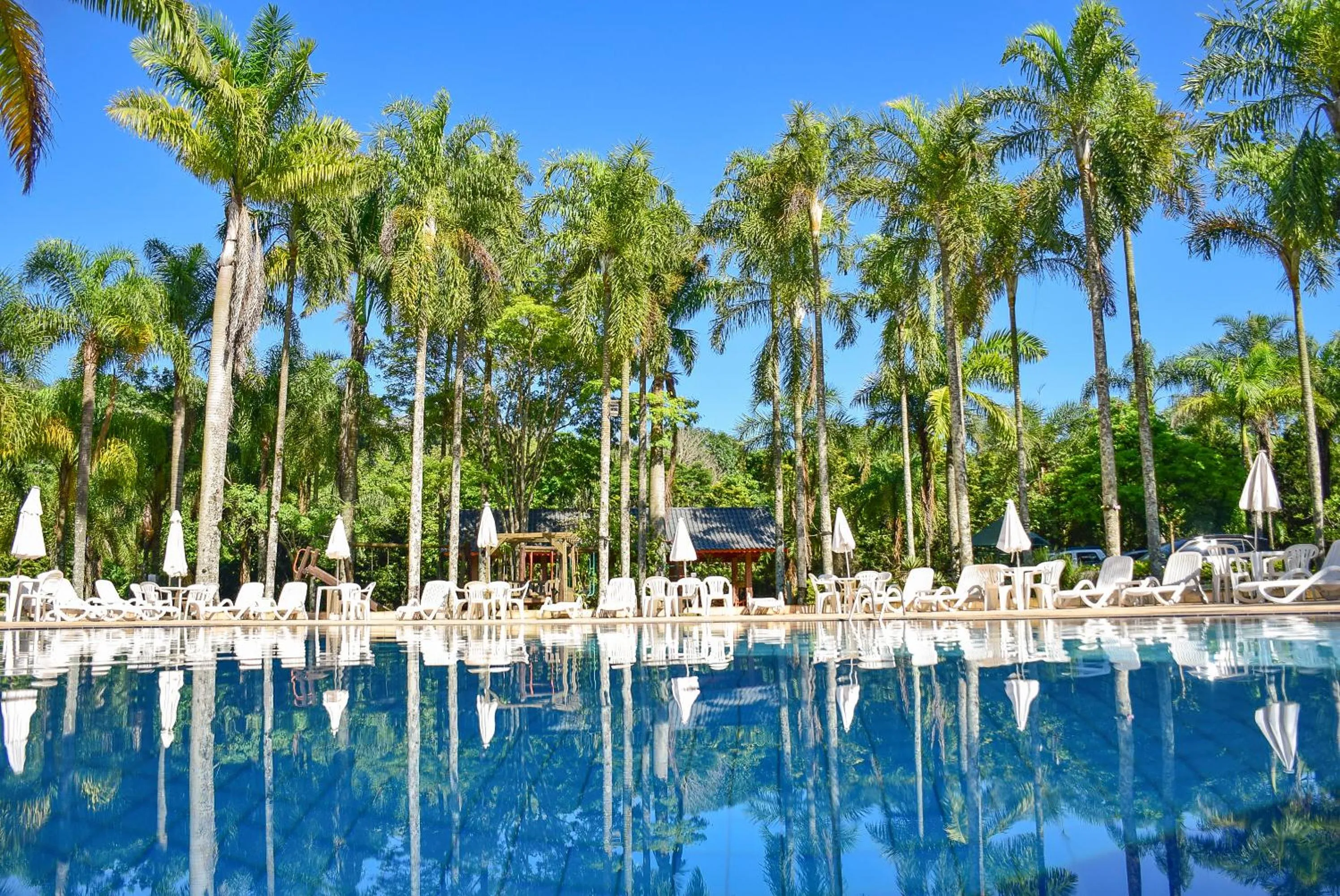 Natural landscape in Oscar Inn Eco Resort