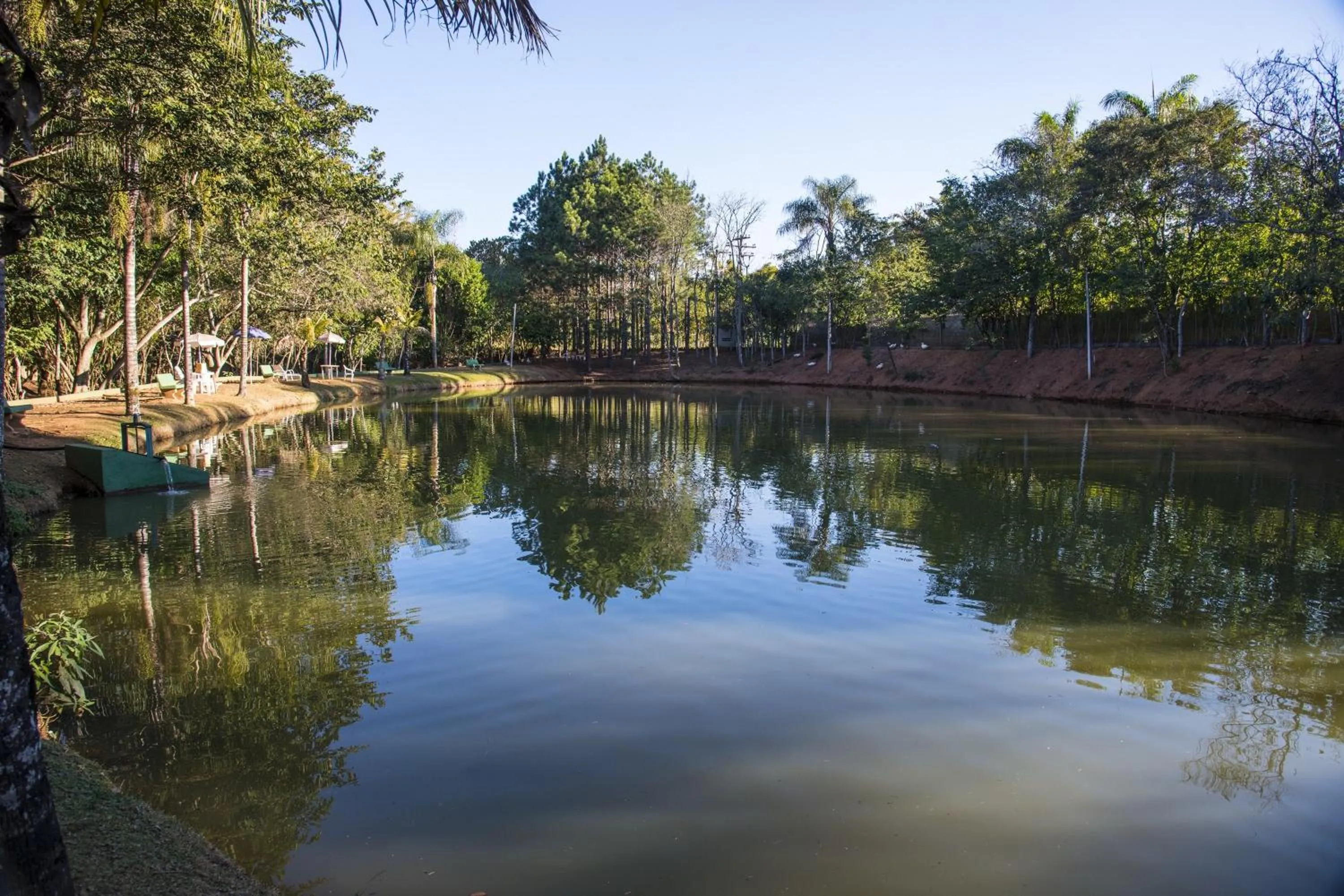 Other in Oscar Inn Eco Resort