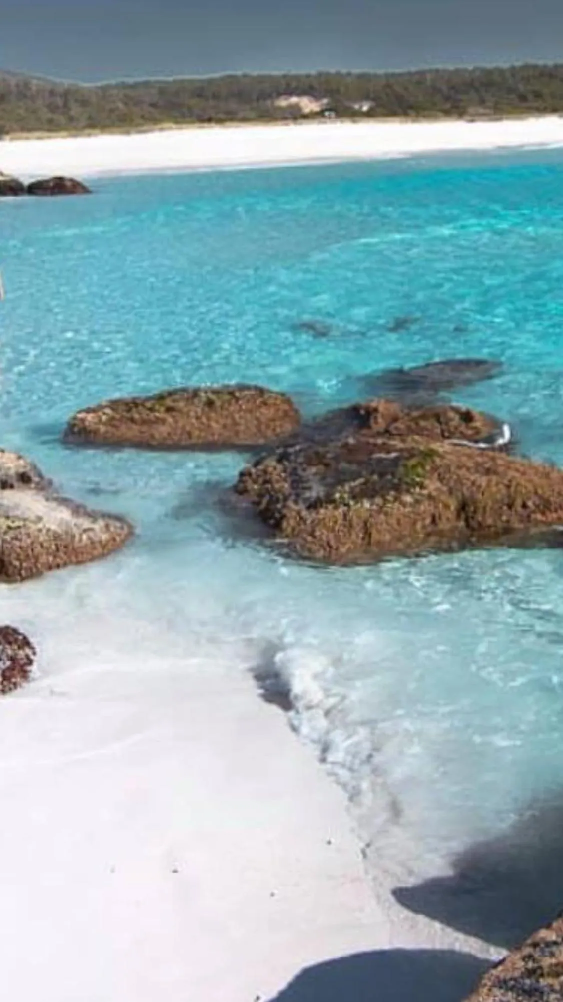 Natural landscape in Georges Bay Apartments