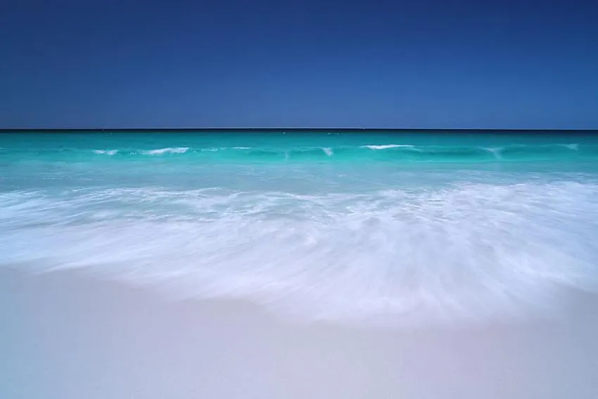 Natural landscape in Georges Bay Apartments