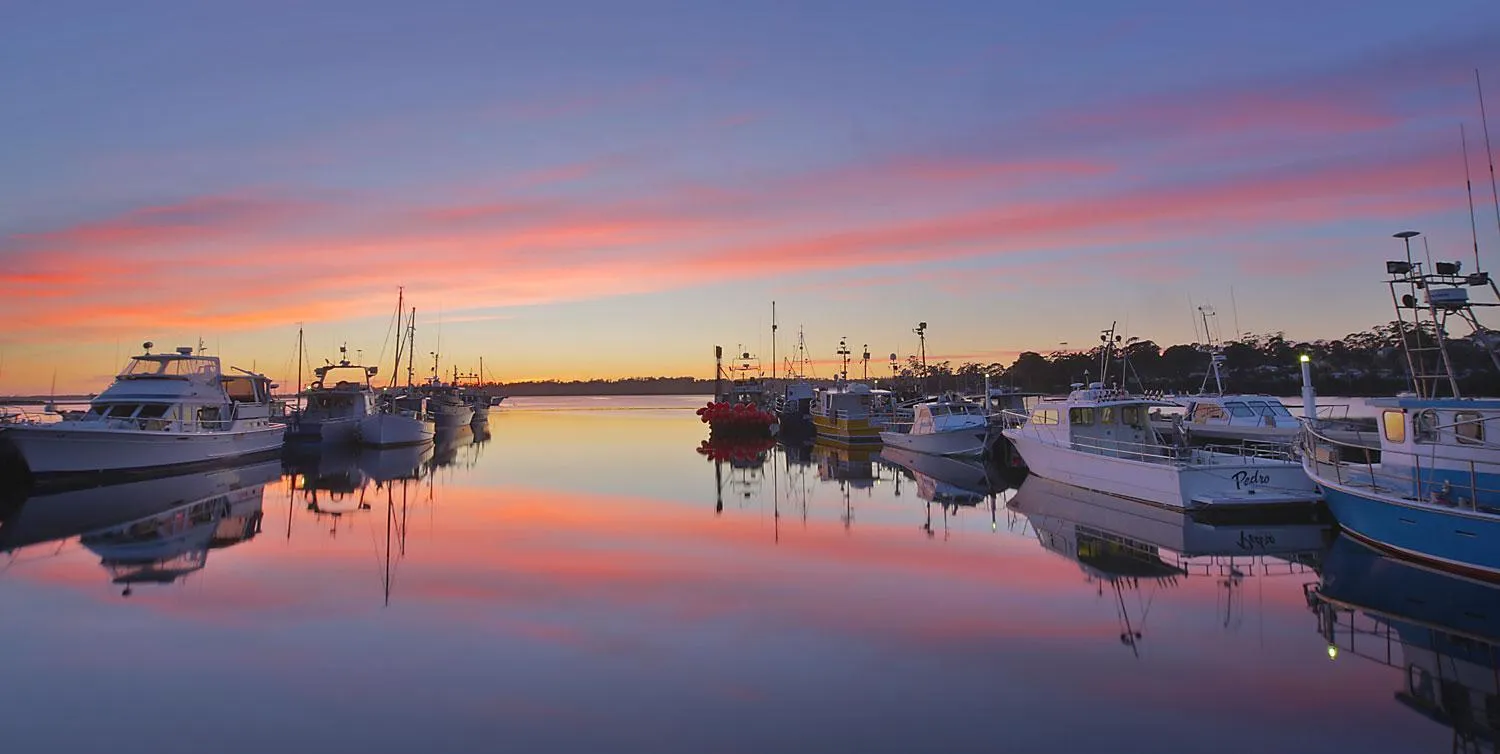 Natural landscape in Georges Bay Apartments