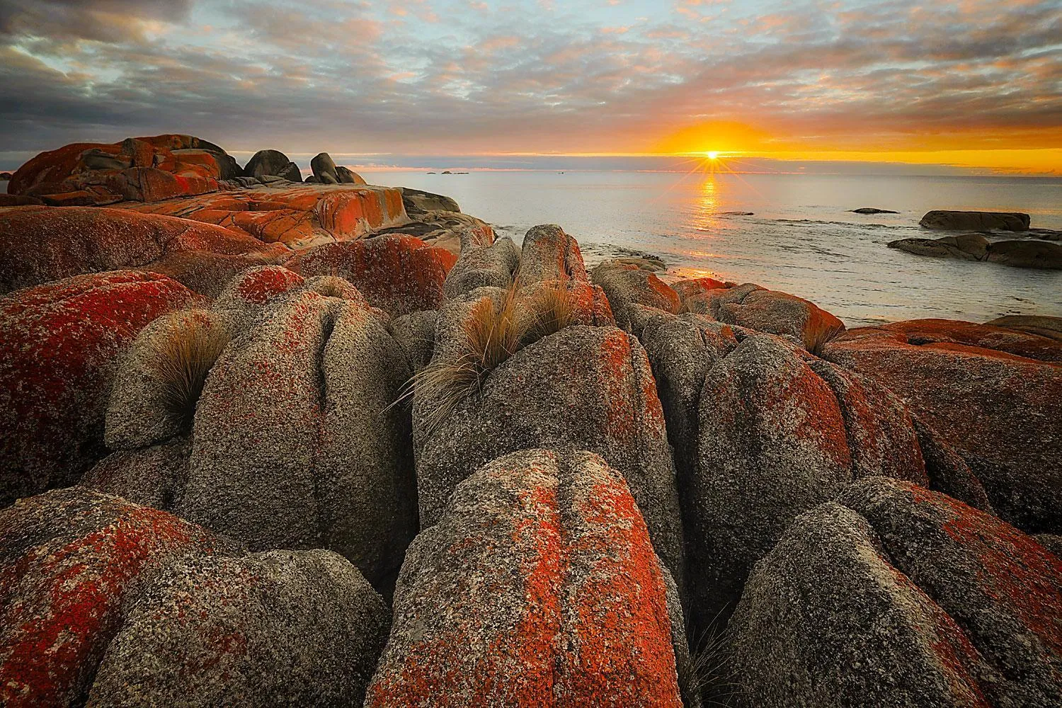 Natural landscape in Georges Bay Apartments