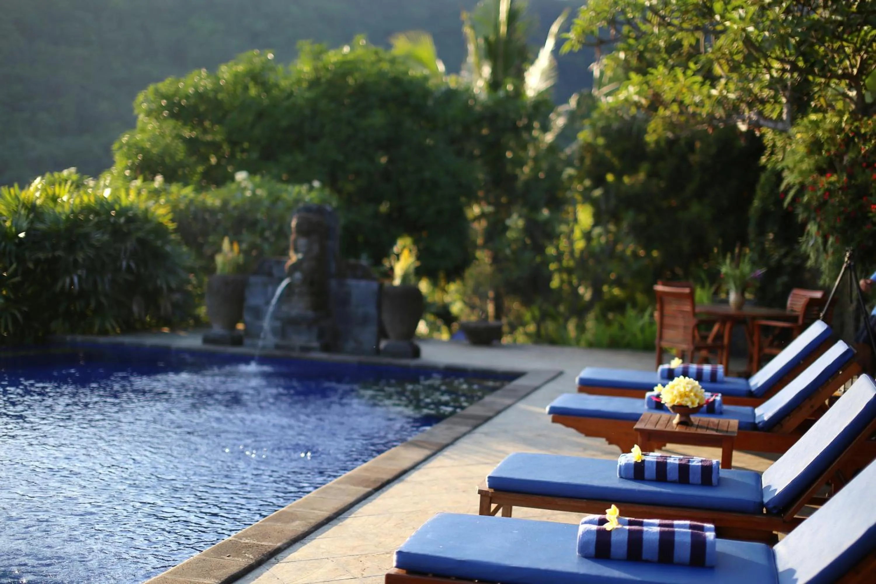 Swimming pool in Villa Patria