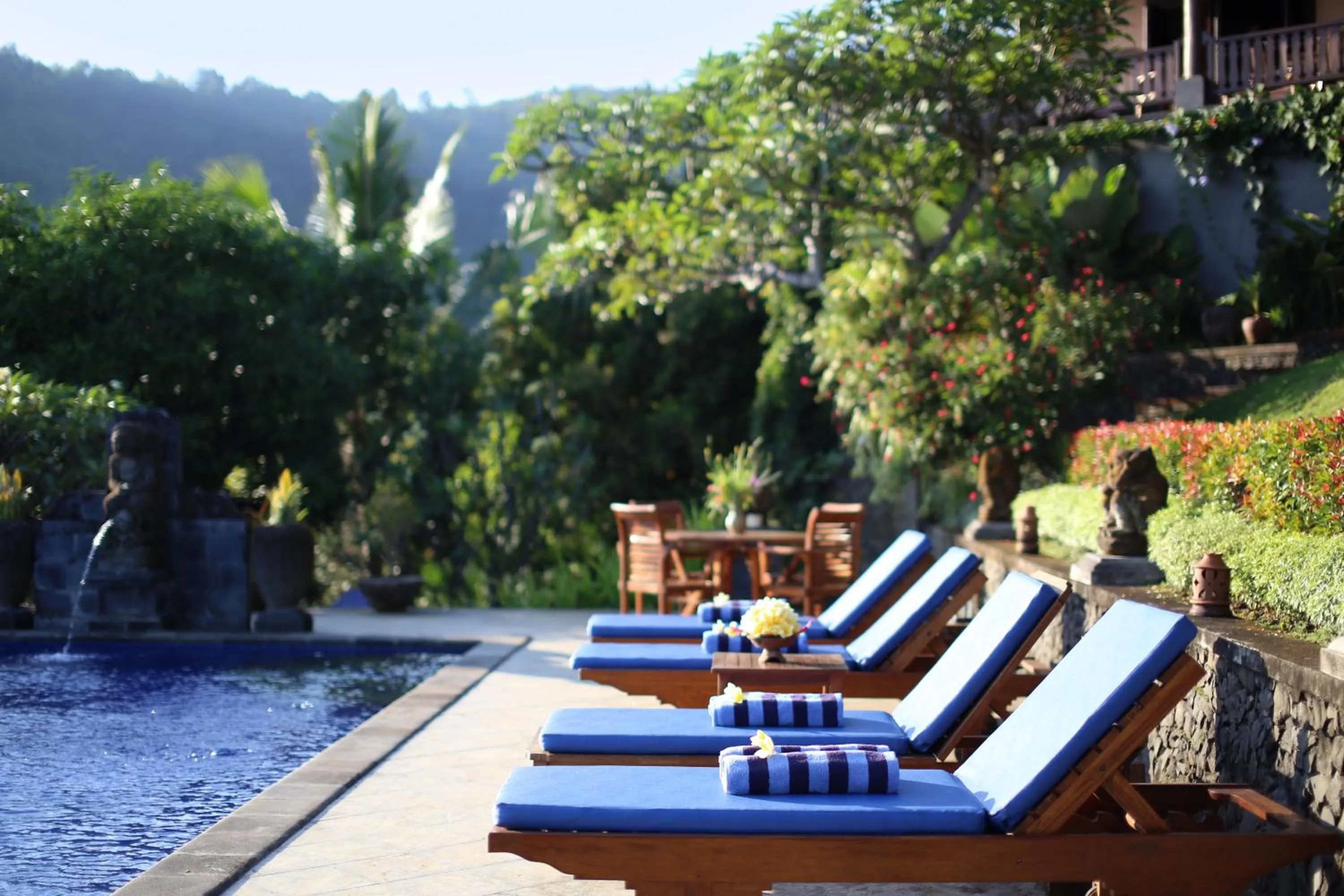 Swimming pool in Villa Patria