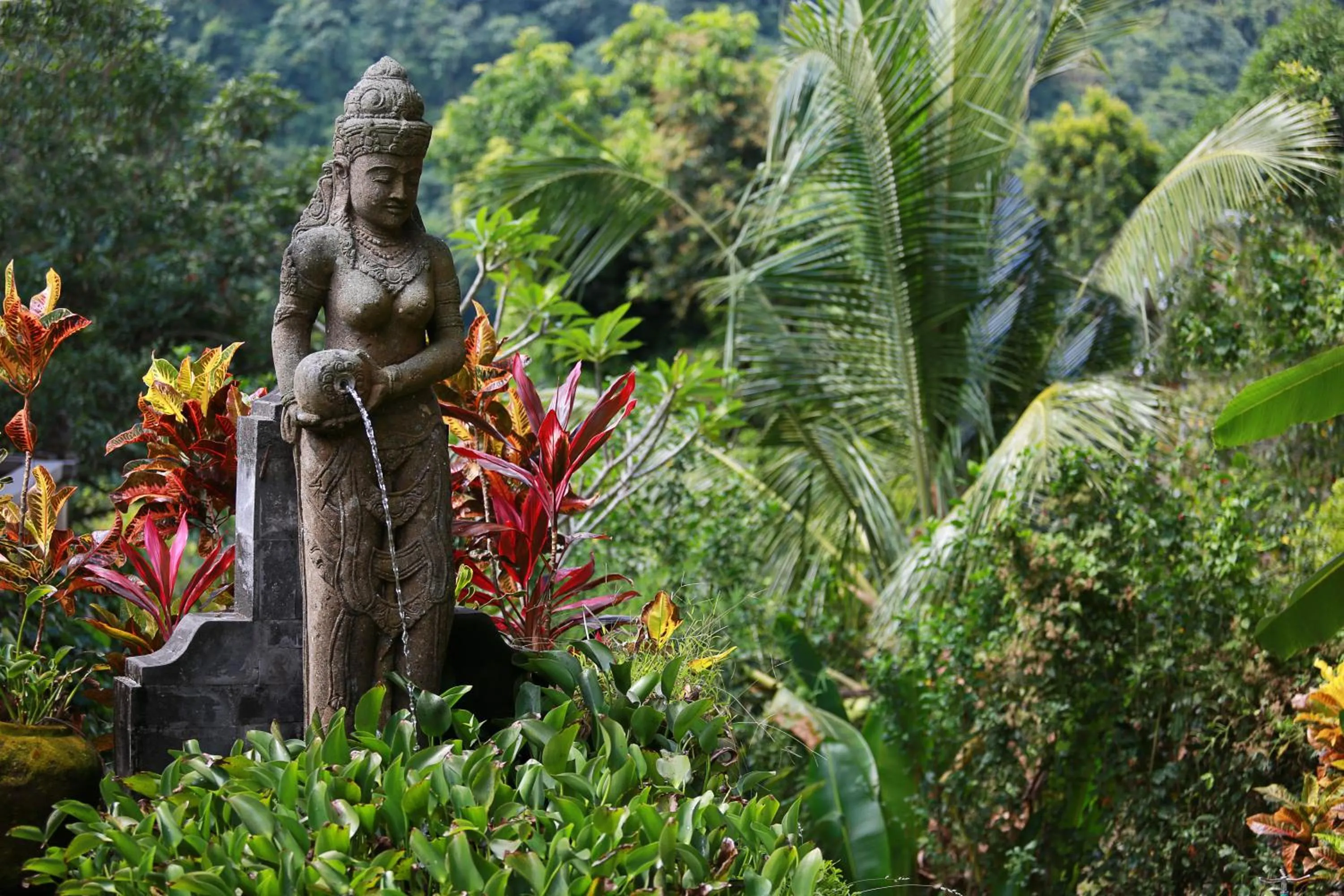 Garden in Villa Patria