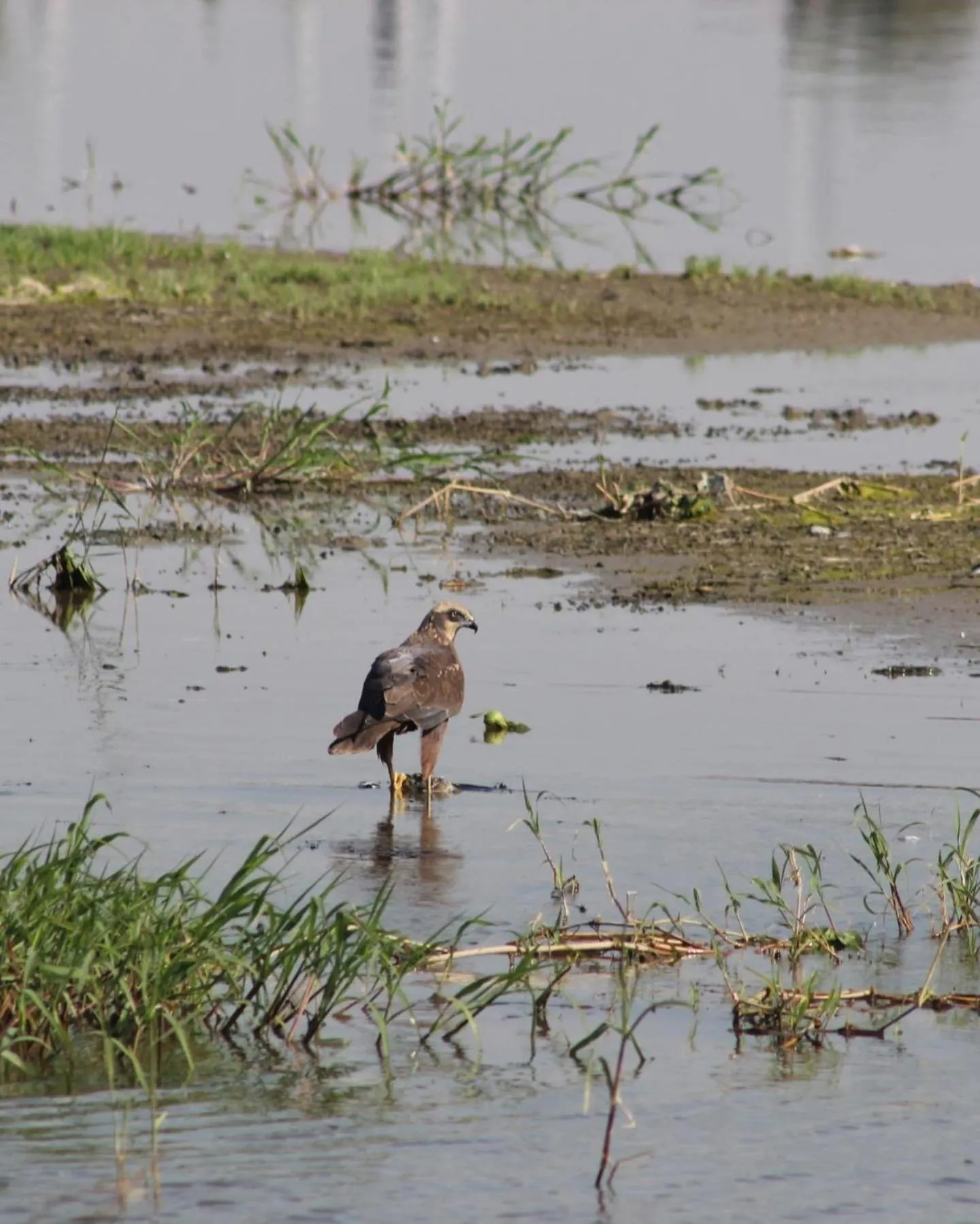 Zad El Mosafer Guest House