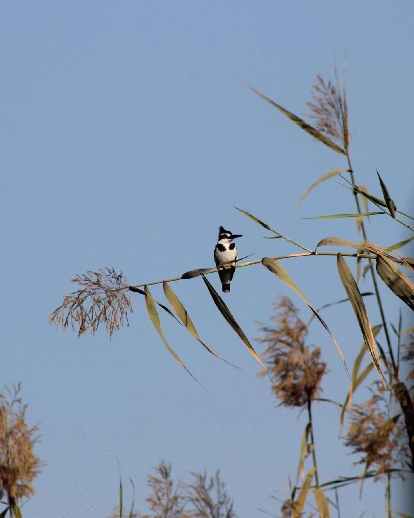 Zad El Mosafer Guest House