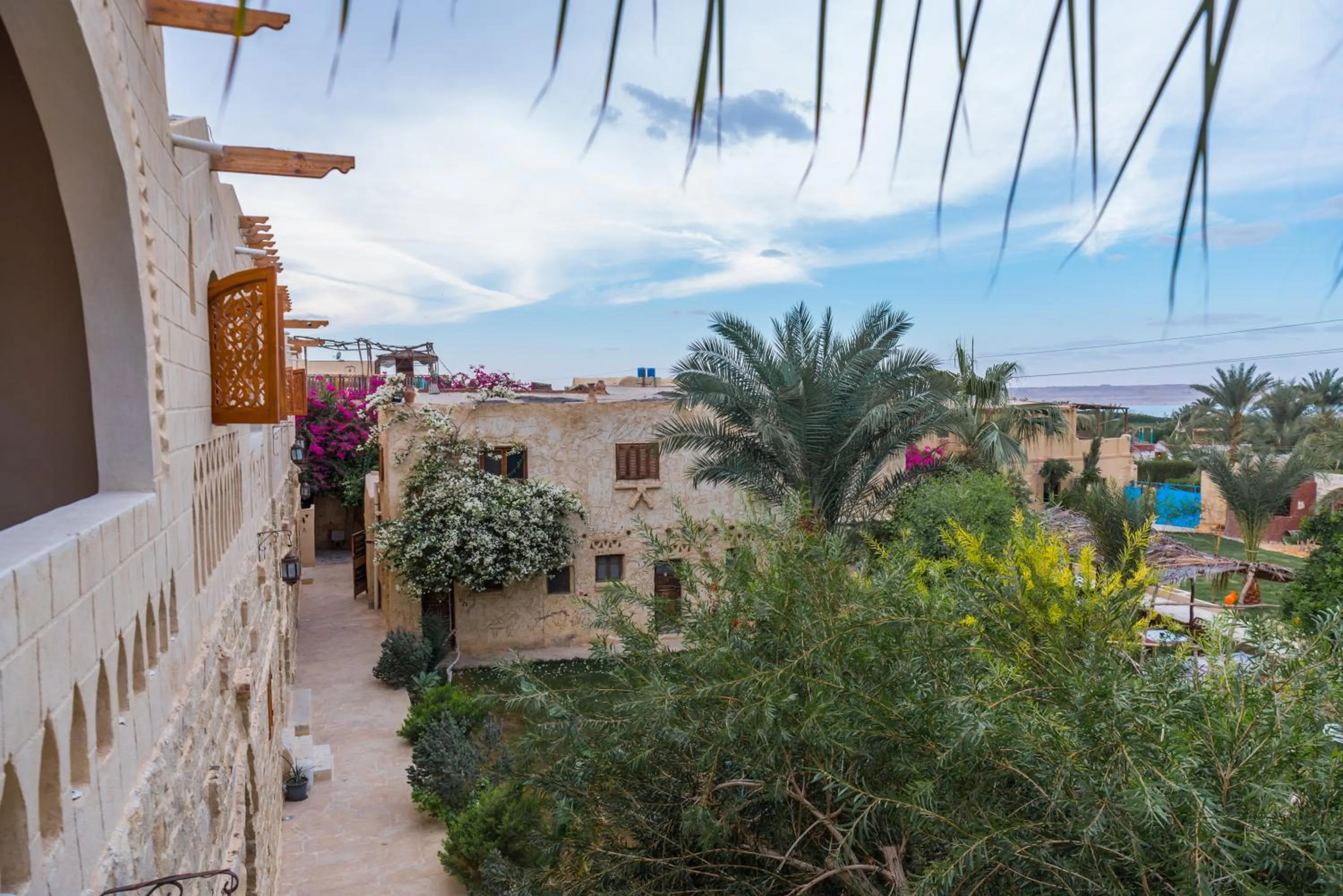 Garden in Zad El Mosafer Guest House