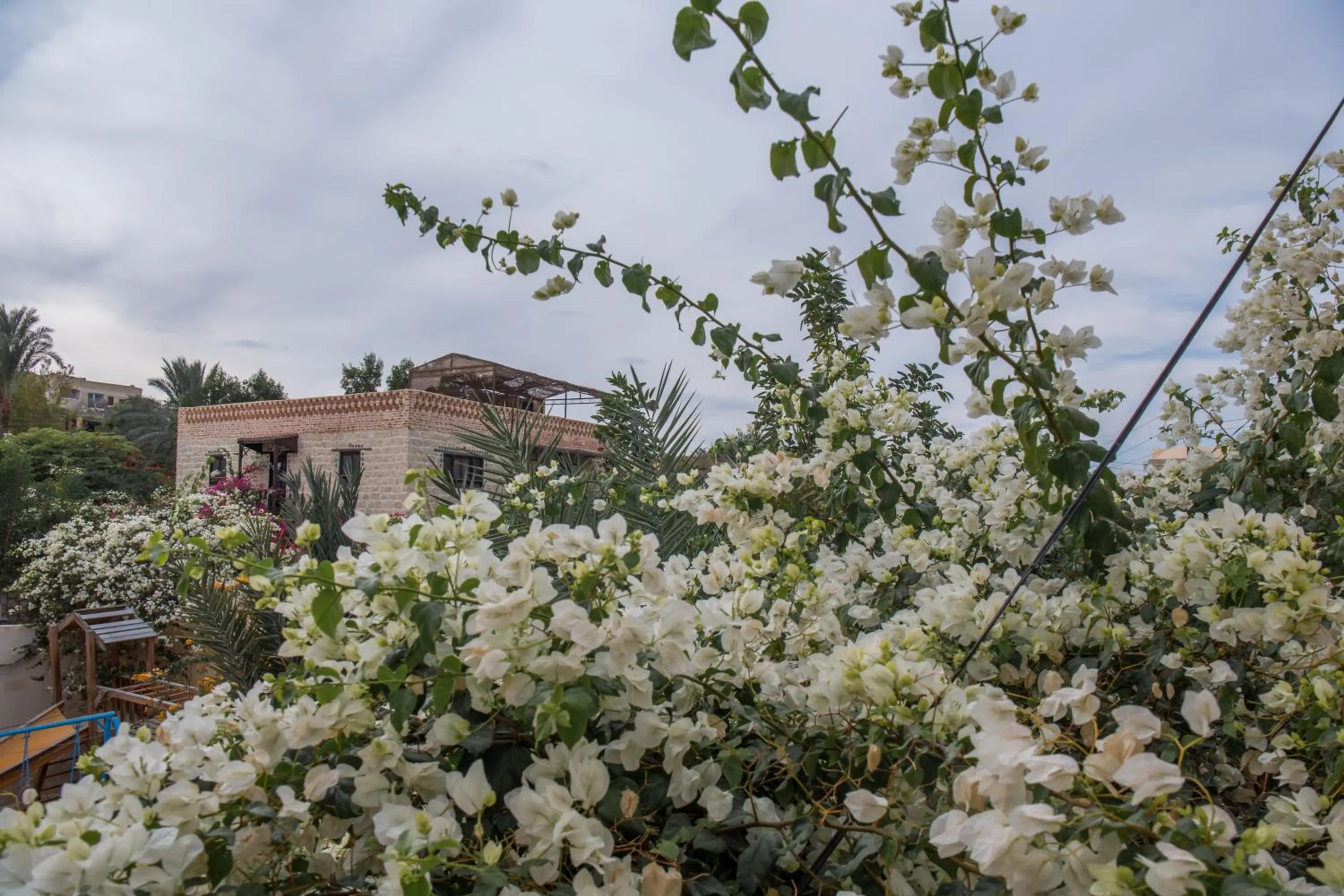 Garden in Zad El Mosafer Guest House