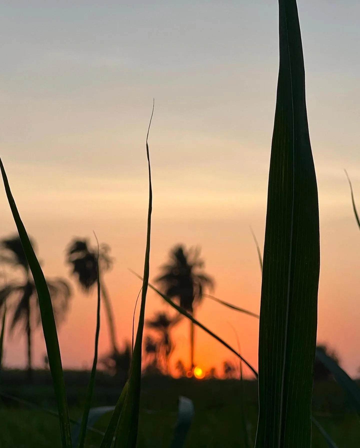 Zad El Mosafer Guest House