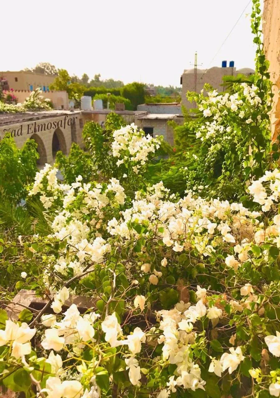 Property building in Zad El Mosafer Guest House