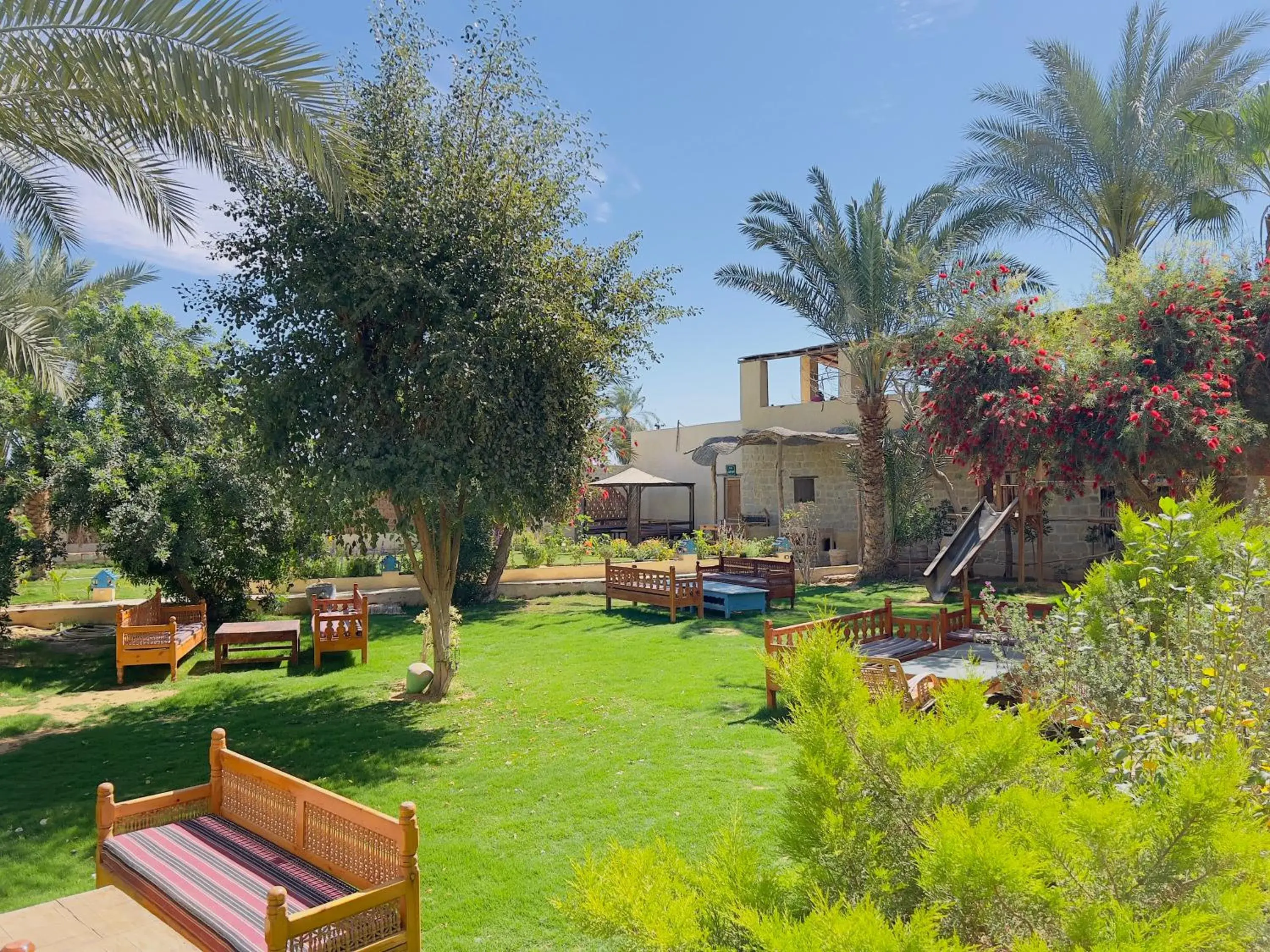 Single Room with Garden View in Zad El Mosafer Guest House Single Room with Garden View in Zad El Mosafer Guest House
