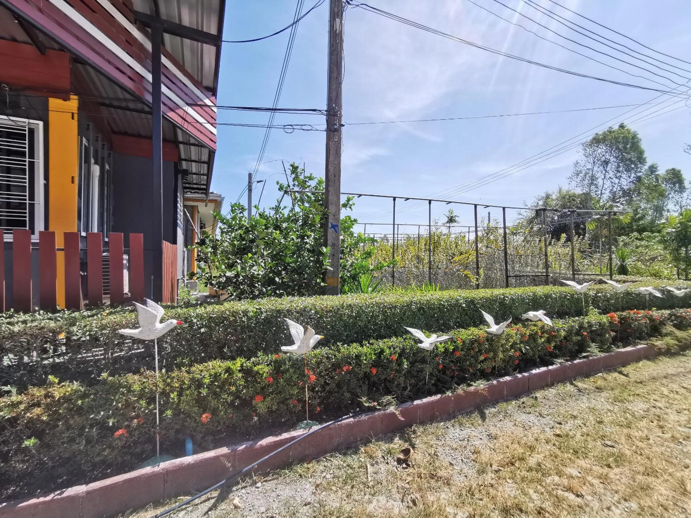 Garden in Viman Resort