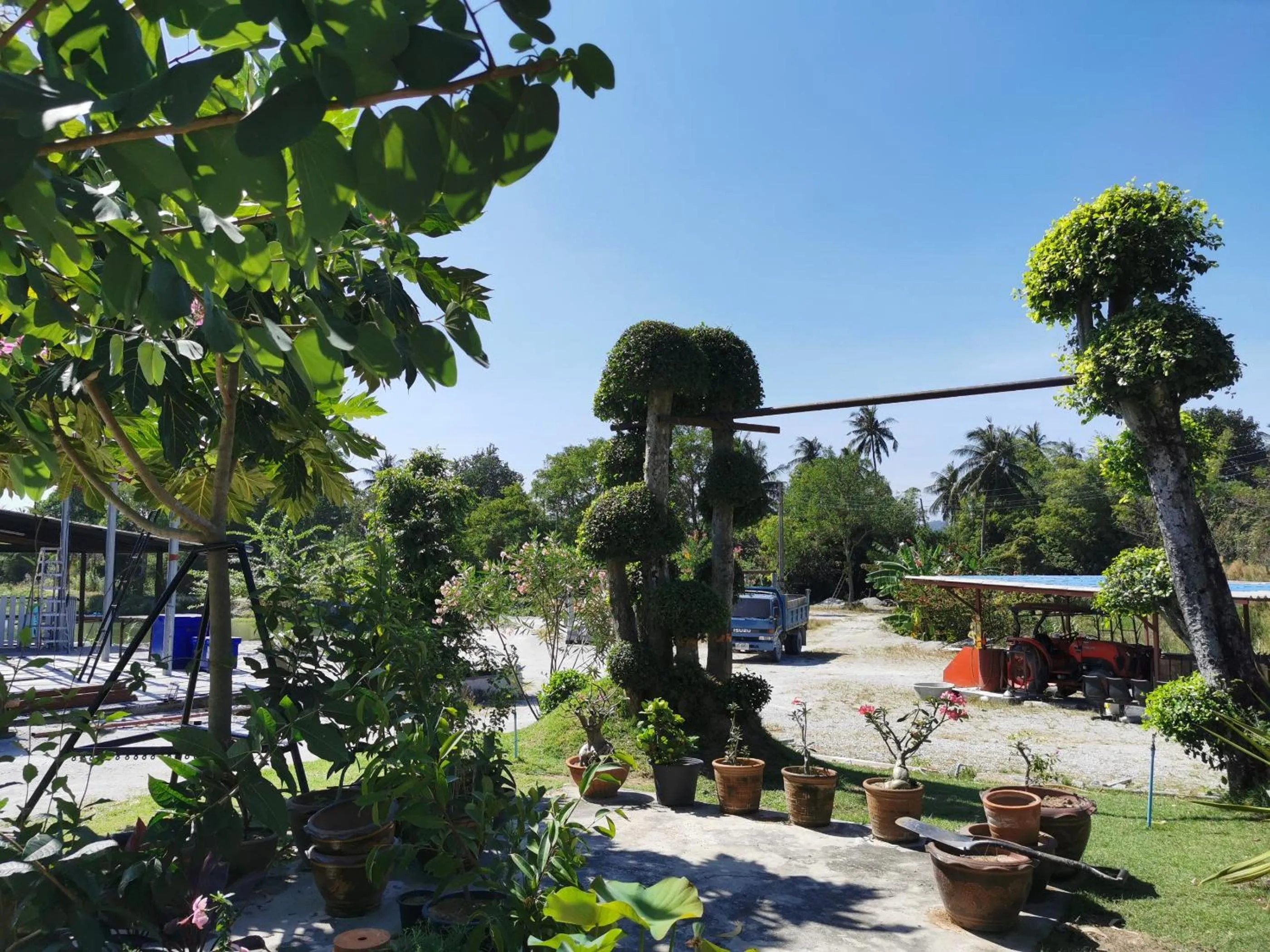 Garden in Viman Resort