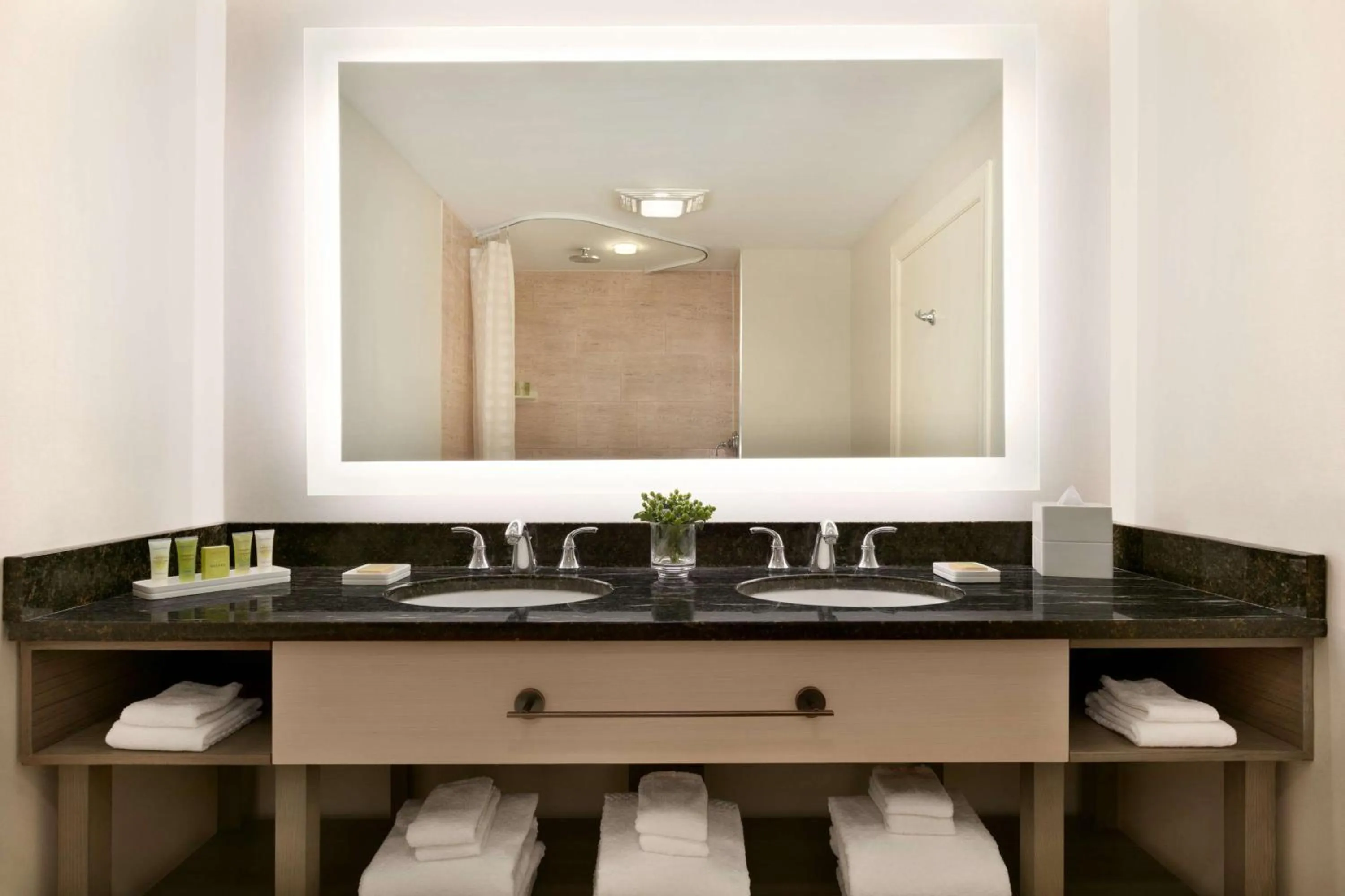 Bathroom in Hilton Suites Ocean City Oceanfront