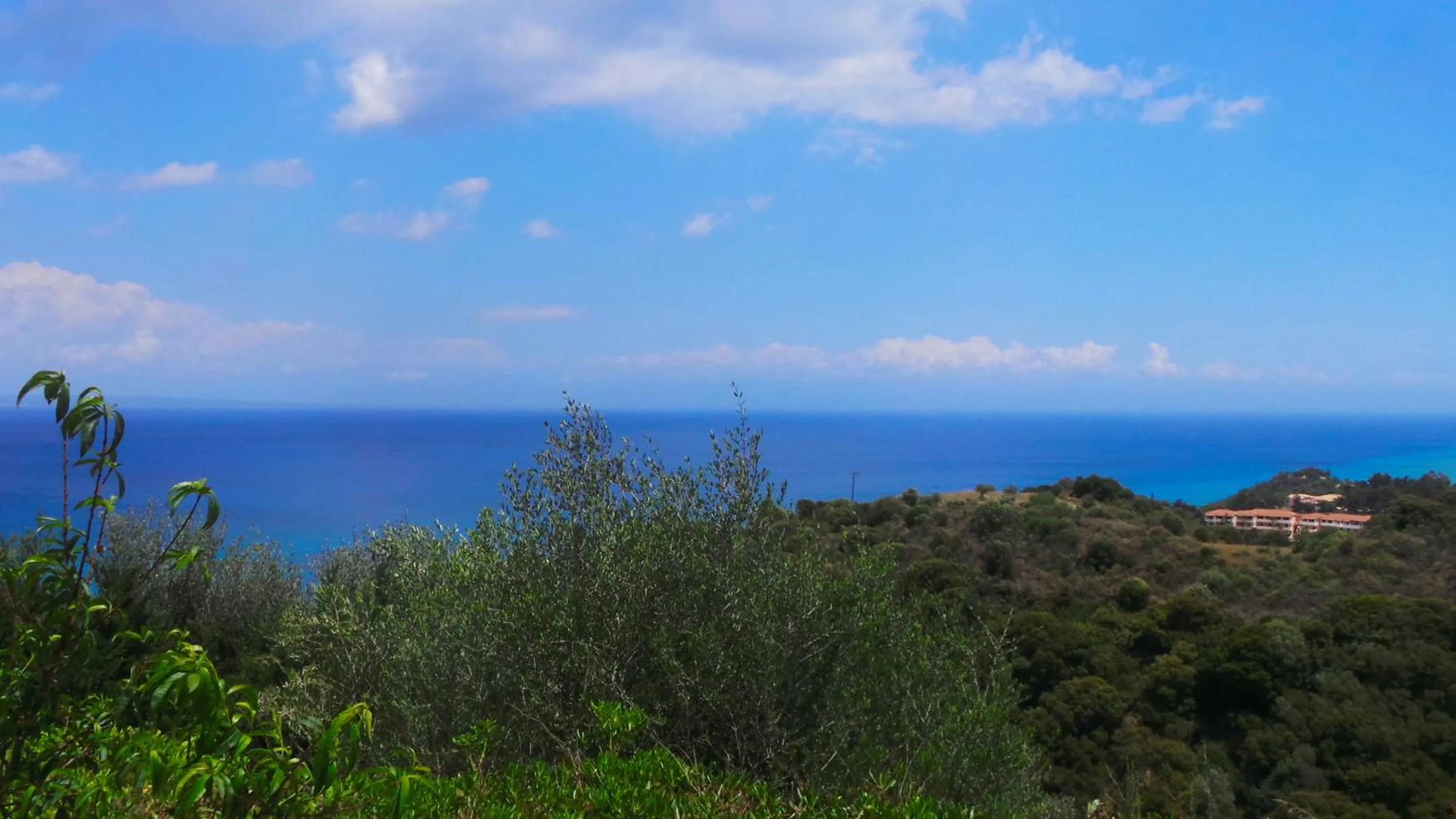 Day in Fiore Hill Sea View Studios