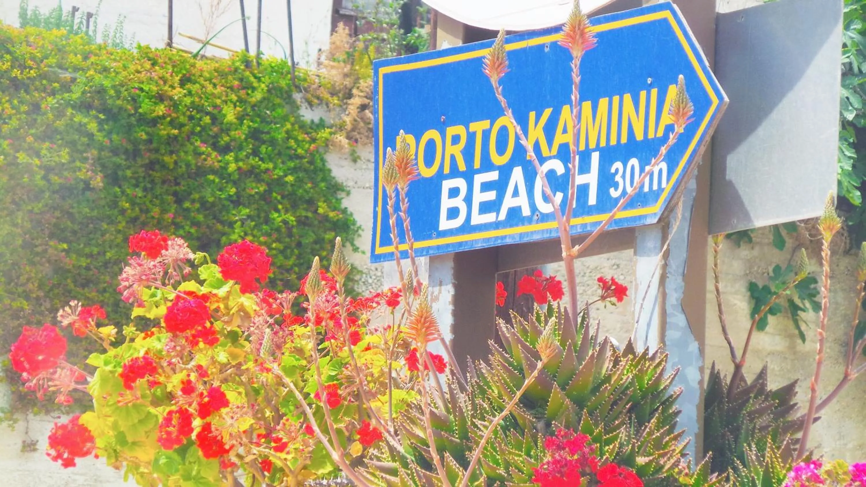 Spring in Fiore Hill Sea View Studios