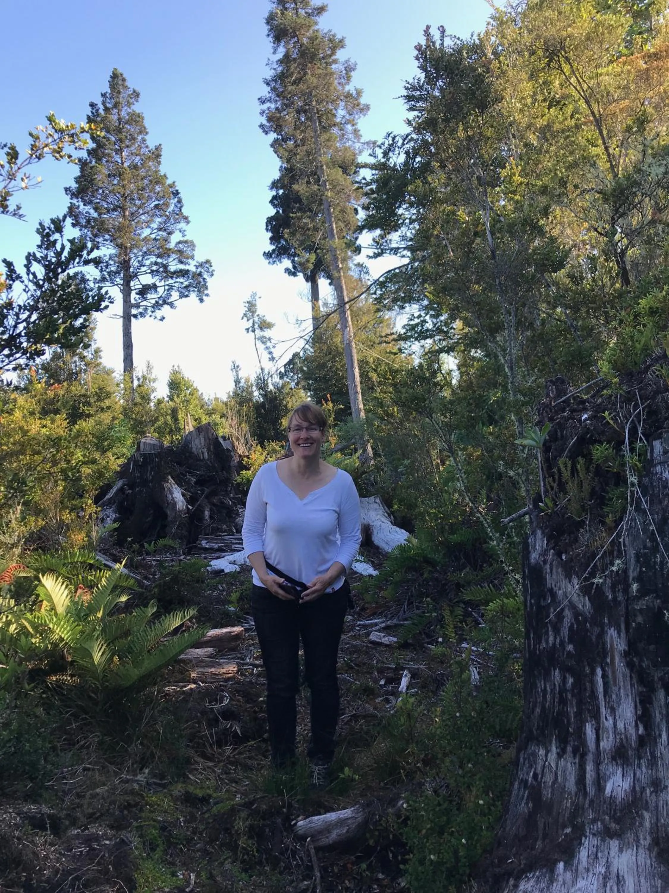 Activities in Parque la Pajarera