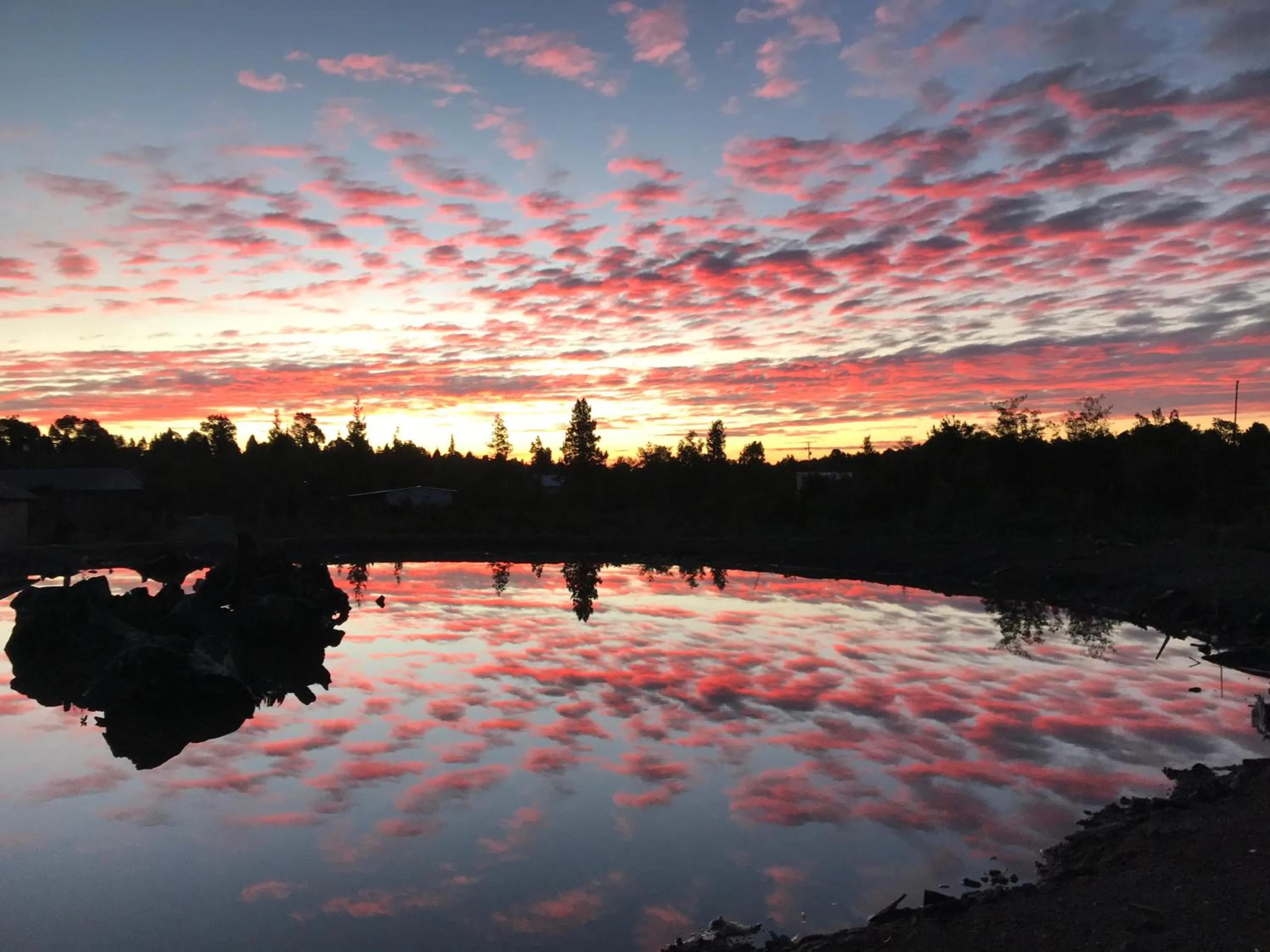 Sunset in Parque la Pajarera