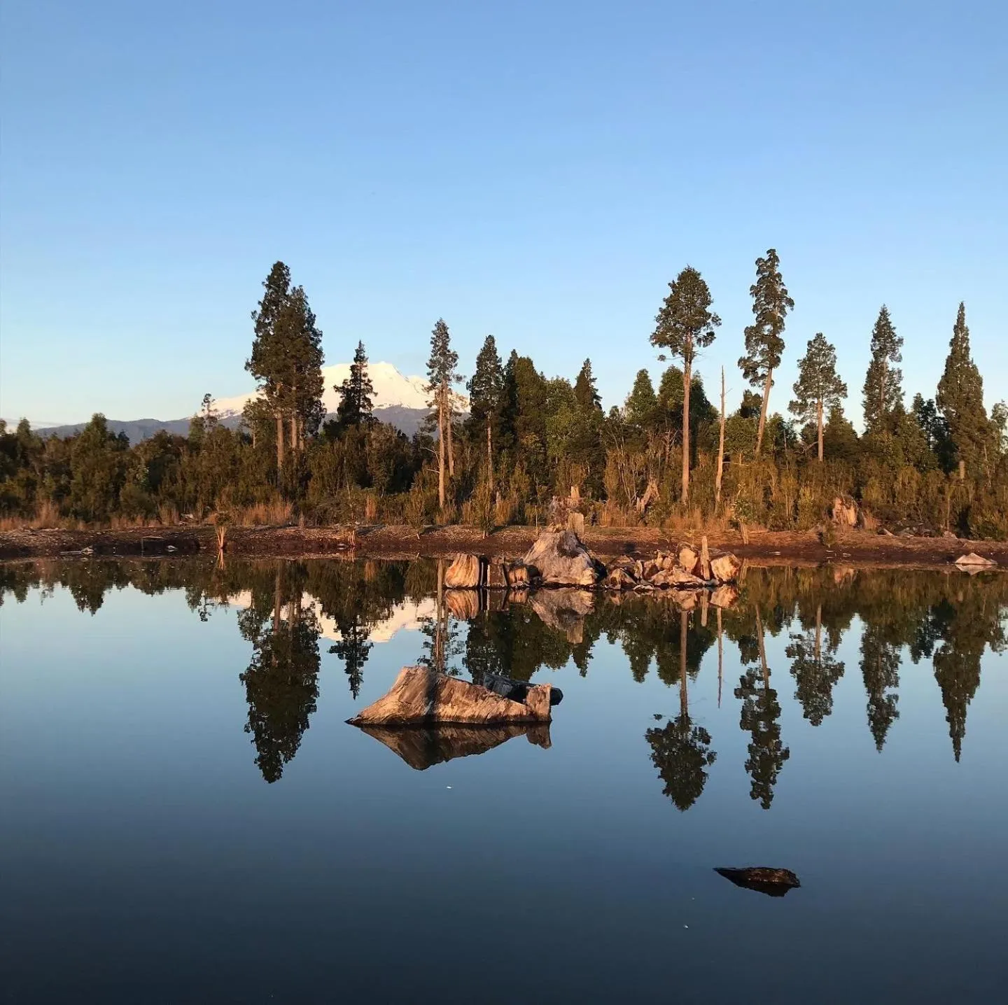 Landmark view in Parque la Pajarera