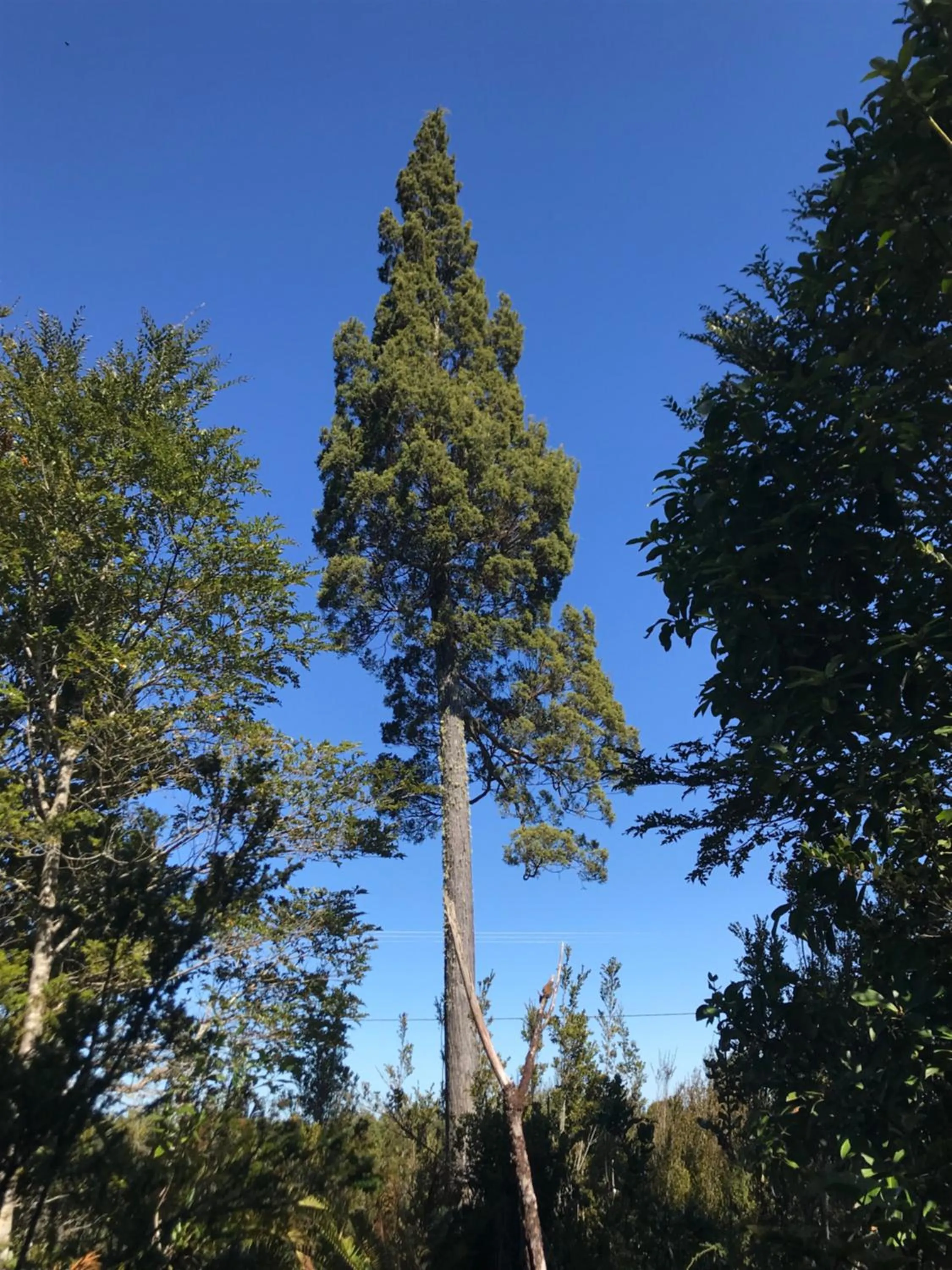 Hiking in Parque la Pajarera
