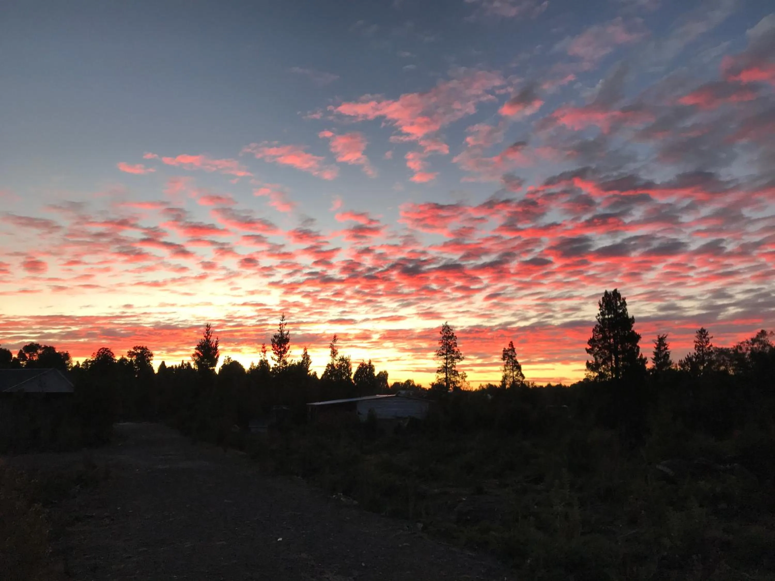 Sunset in Parque la Pajarera