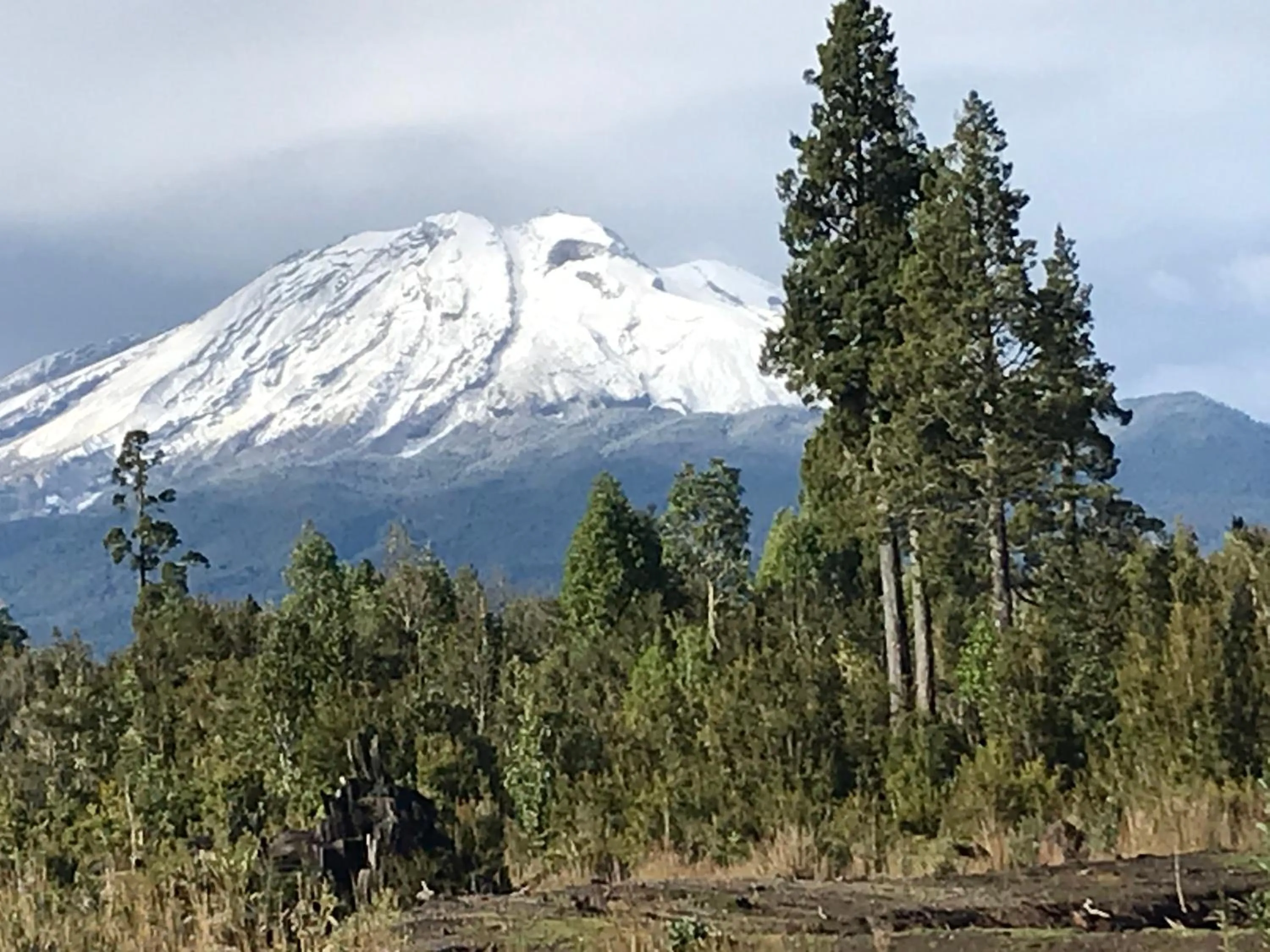 Landmark view in Parque la Pajarera
