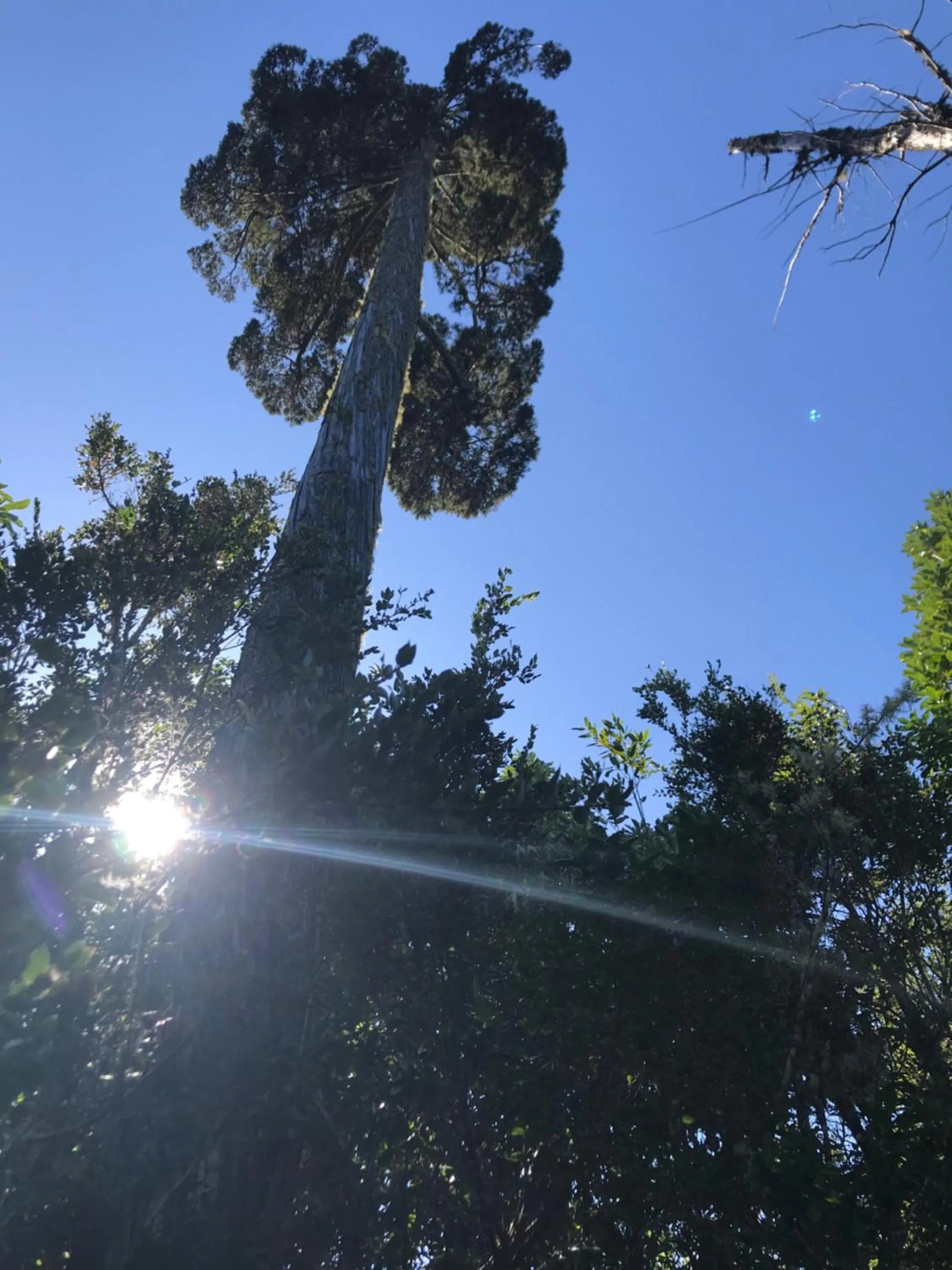 Hiking in Parque la Pajarera