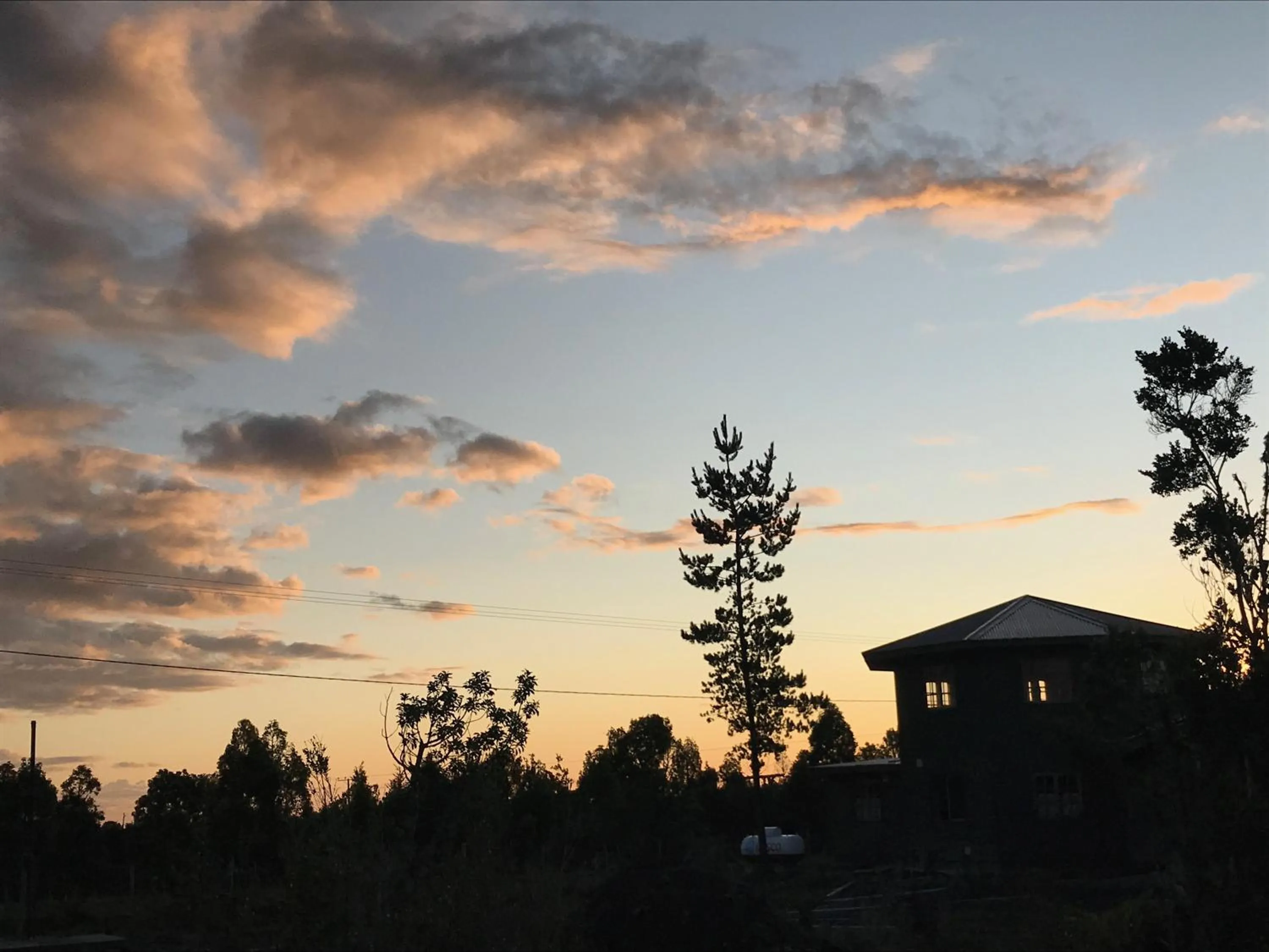 View (from property/room) in Parque la Pajarera