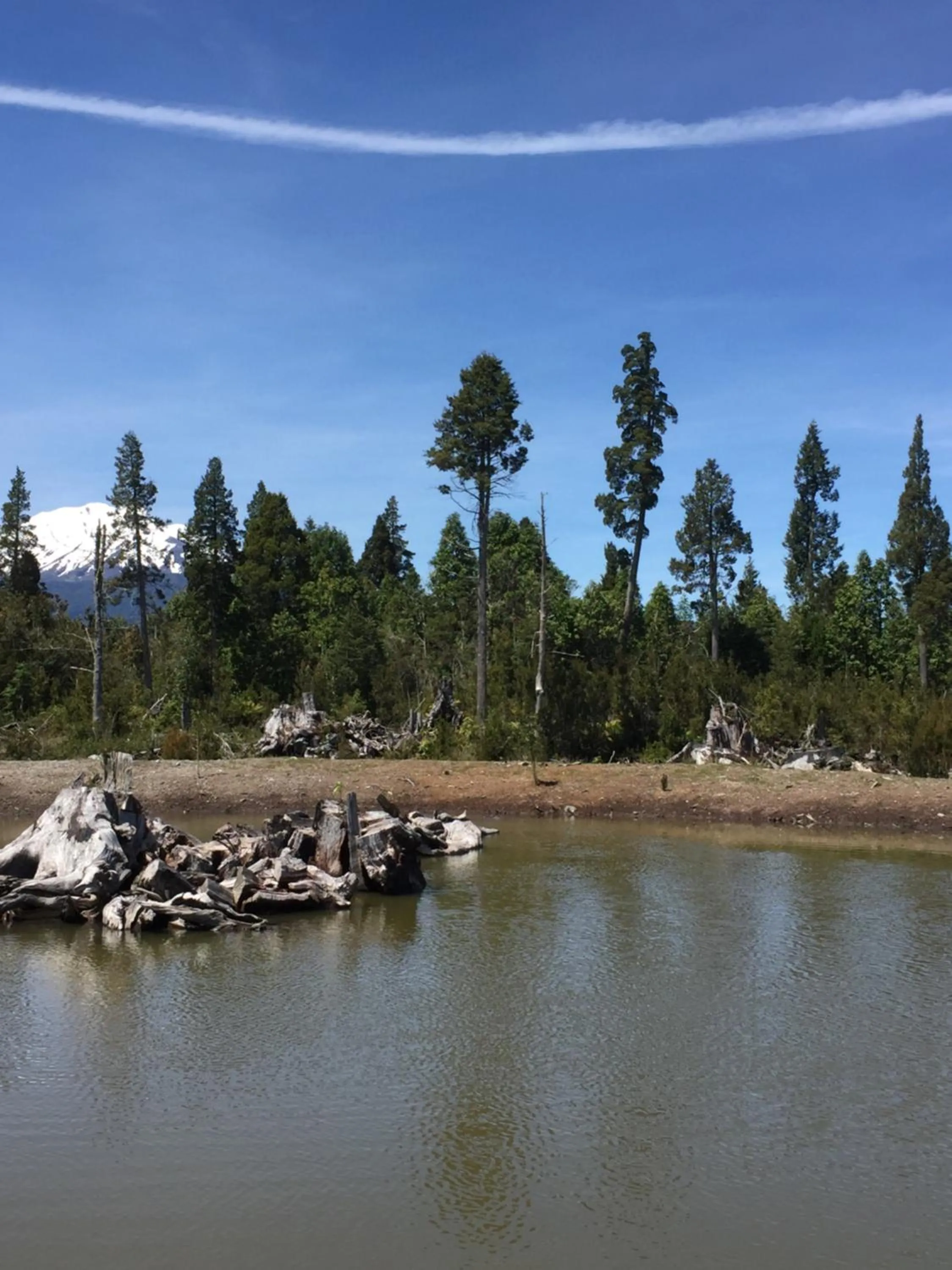 View (from property/room) in Parque la Pajarera
