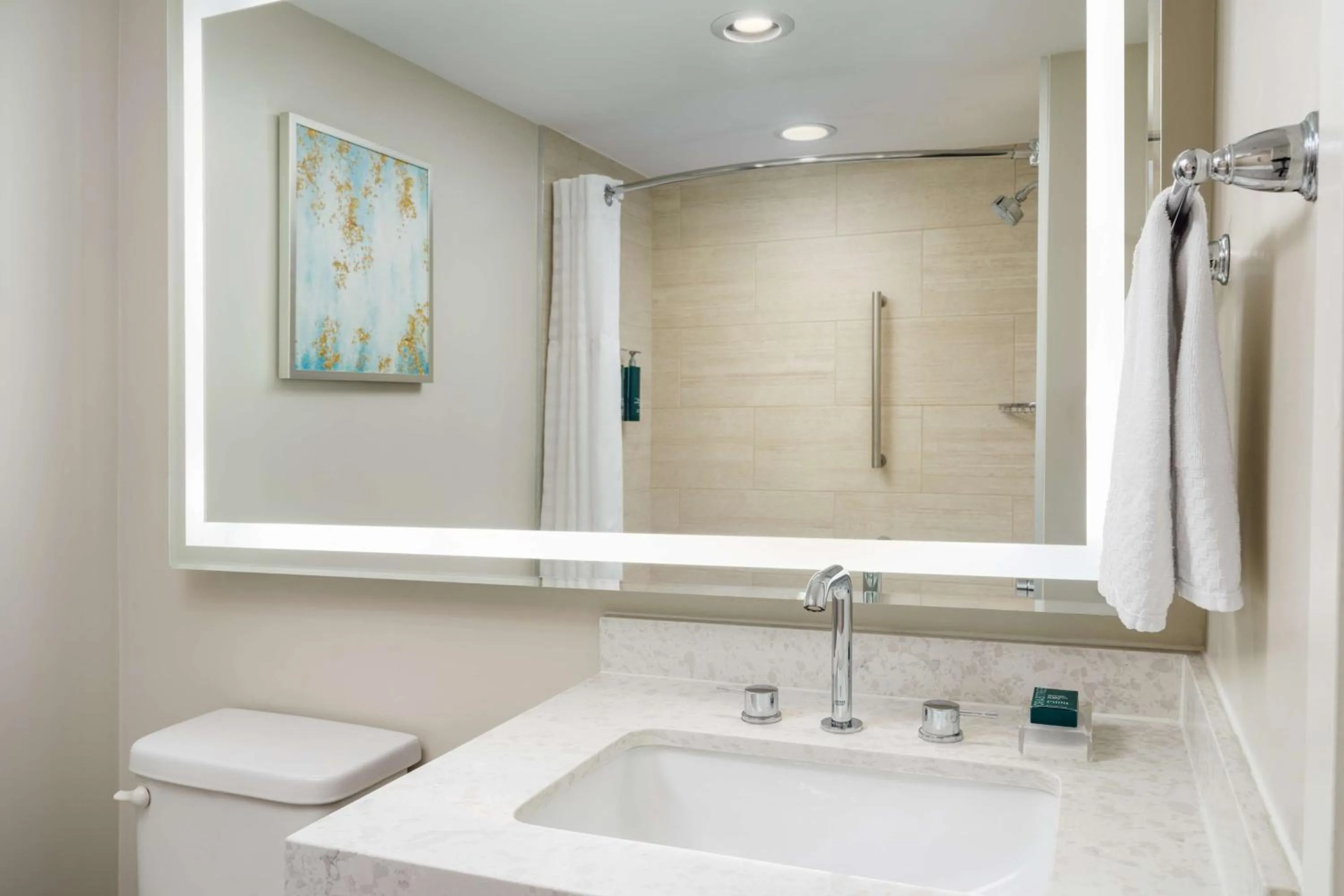 Bathroom in Hilton Santa Barbara Beachfront Resort