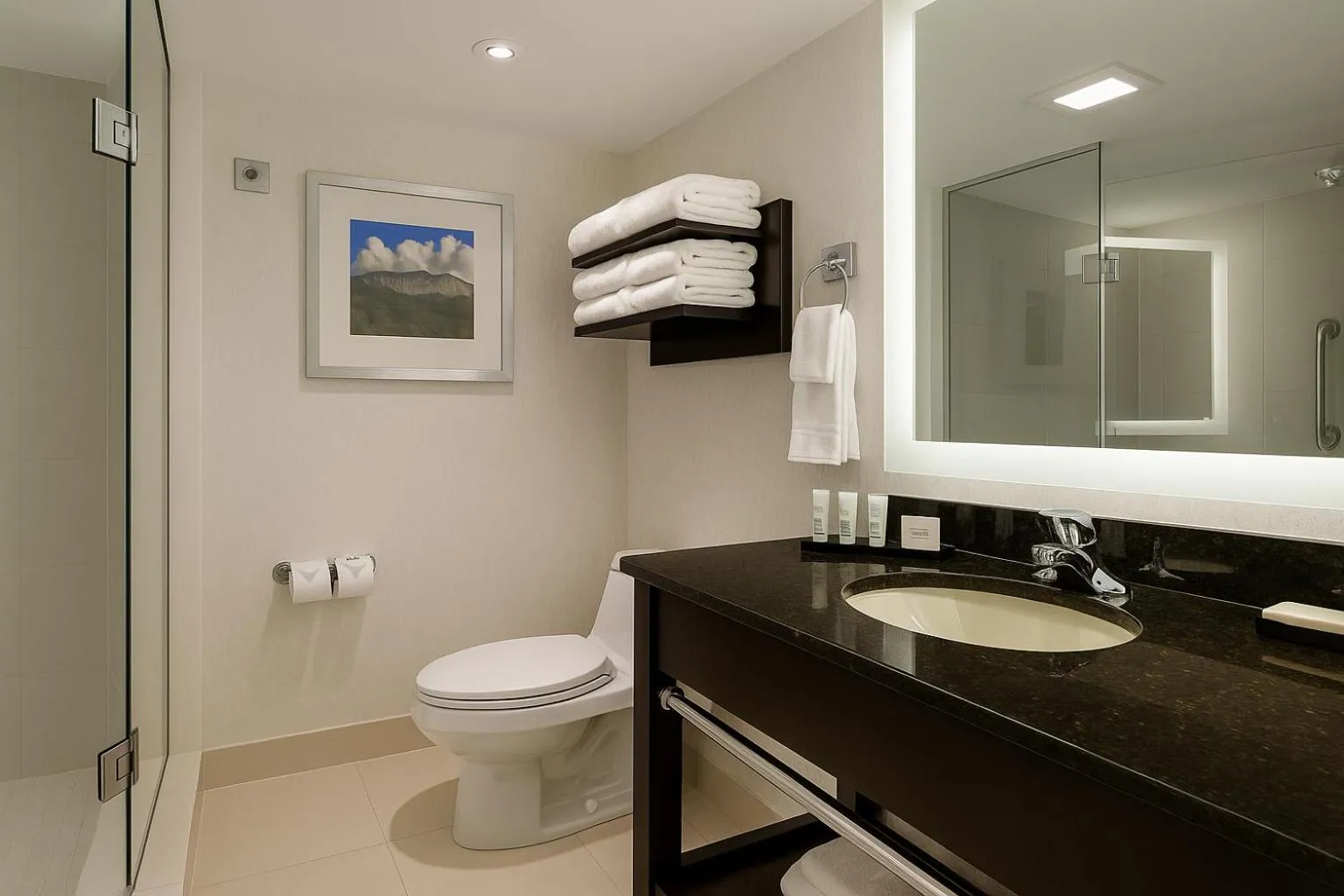 Shower in Embassy Suites by Hilton Niagara Falls/ Fallsview