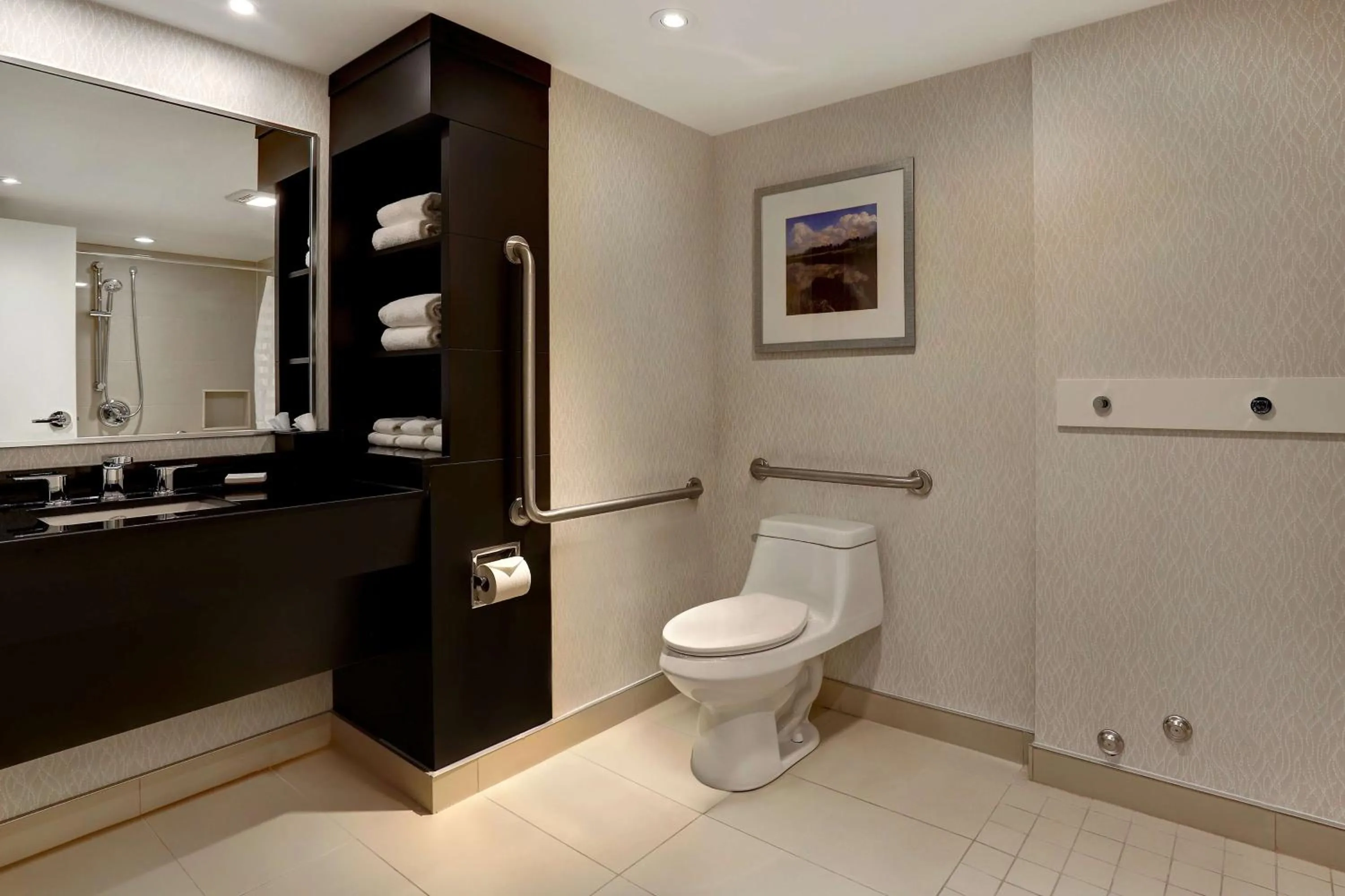 Bathroom in Embassy Suites by Hilton Niagara Falls/ Fallsview