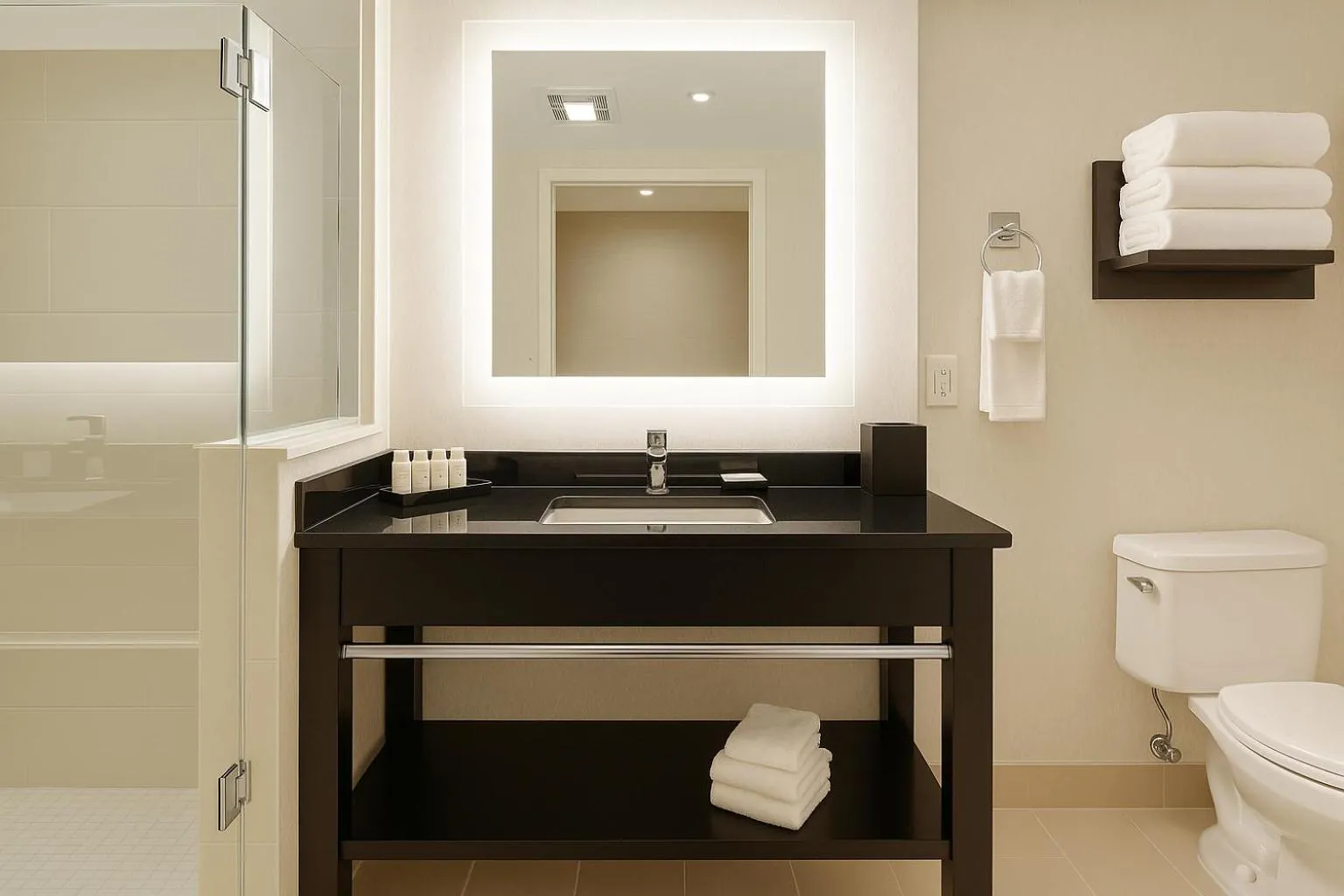 Shower in Embassy Suites by Hilton Niagara Falls/ Fallsview