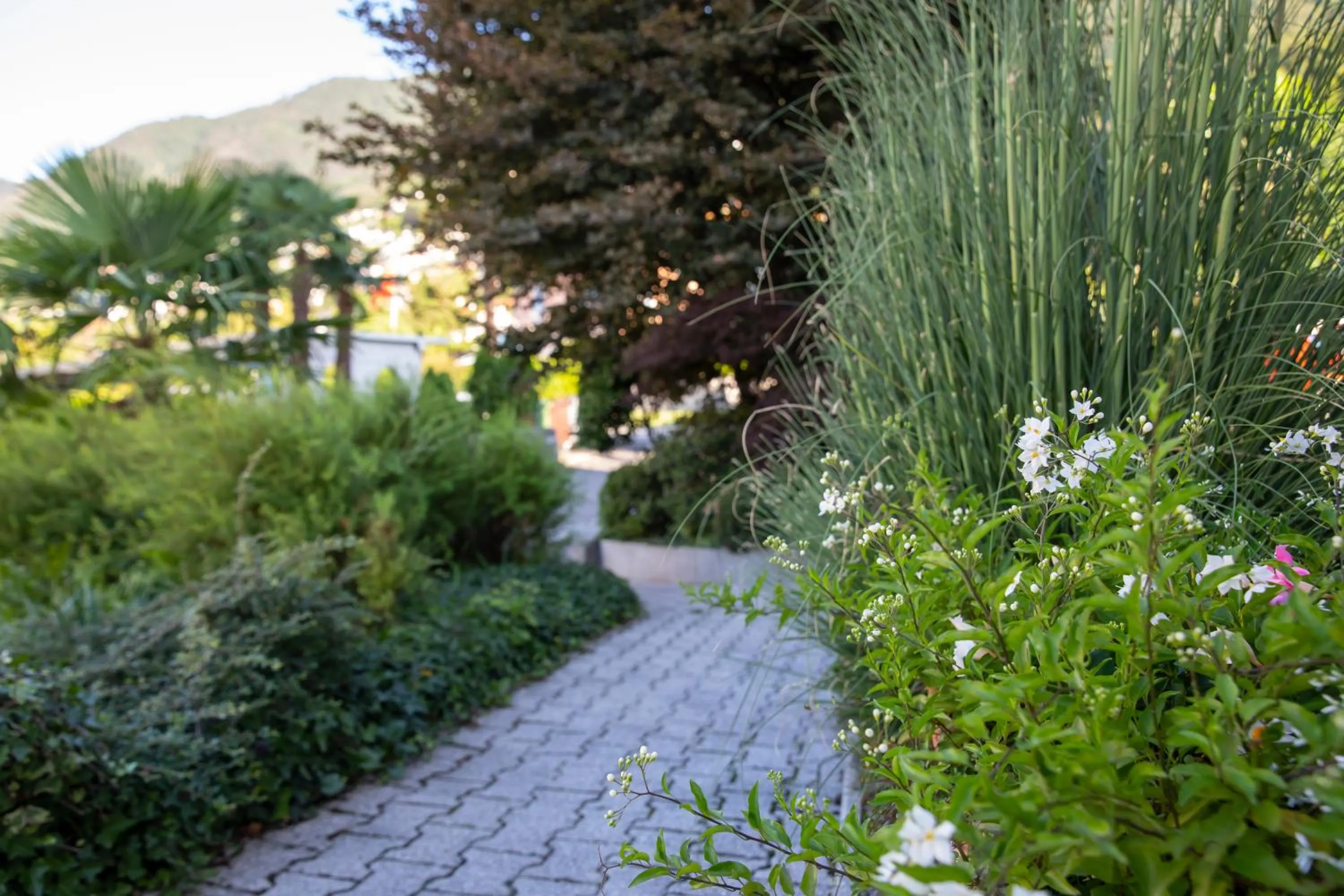 Property building in Smart-HOTEL MINUSIO, a Swiss Quality Hotel