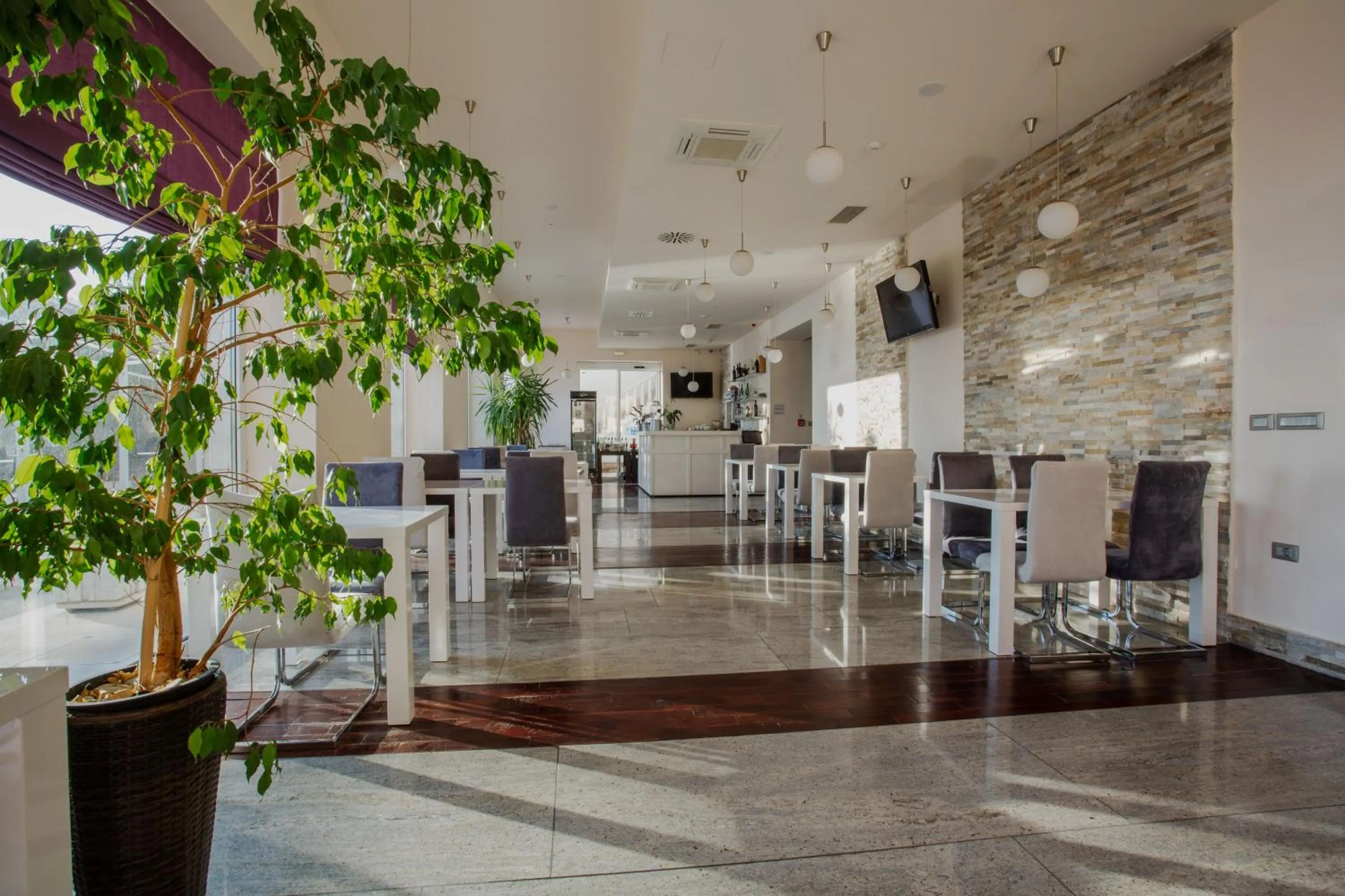 Restaurant/places to eat in Hotel Pleter