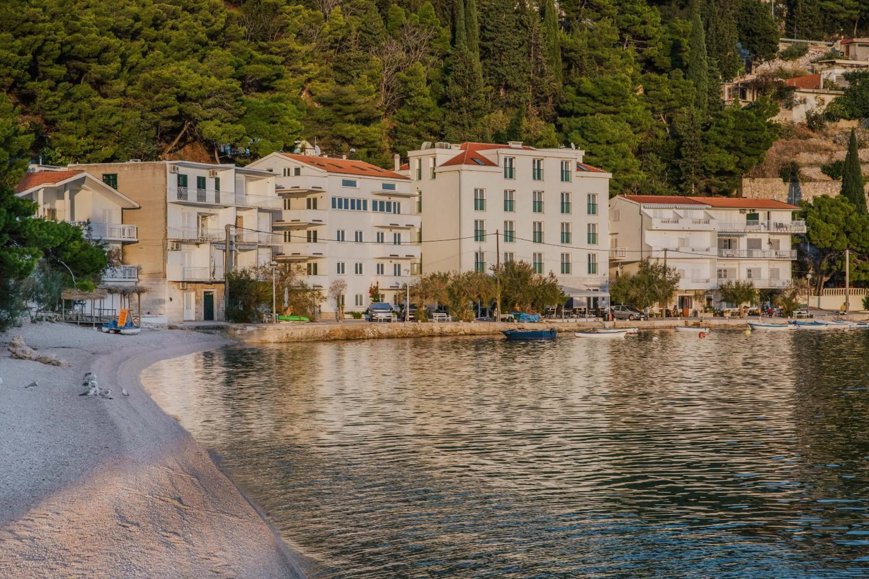 Beach in Hotel Pleter