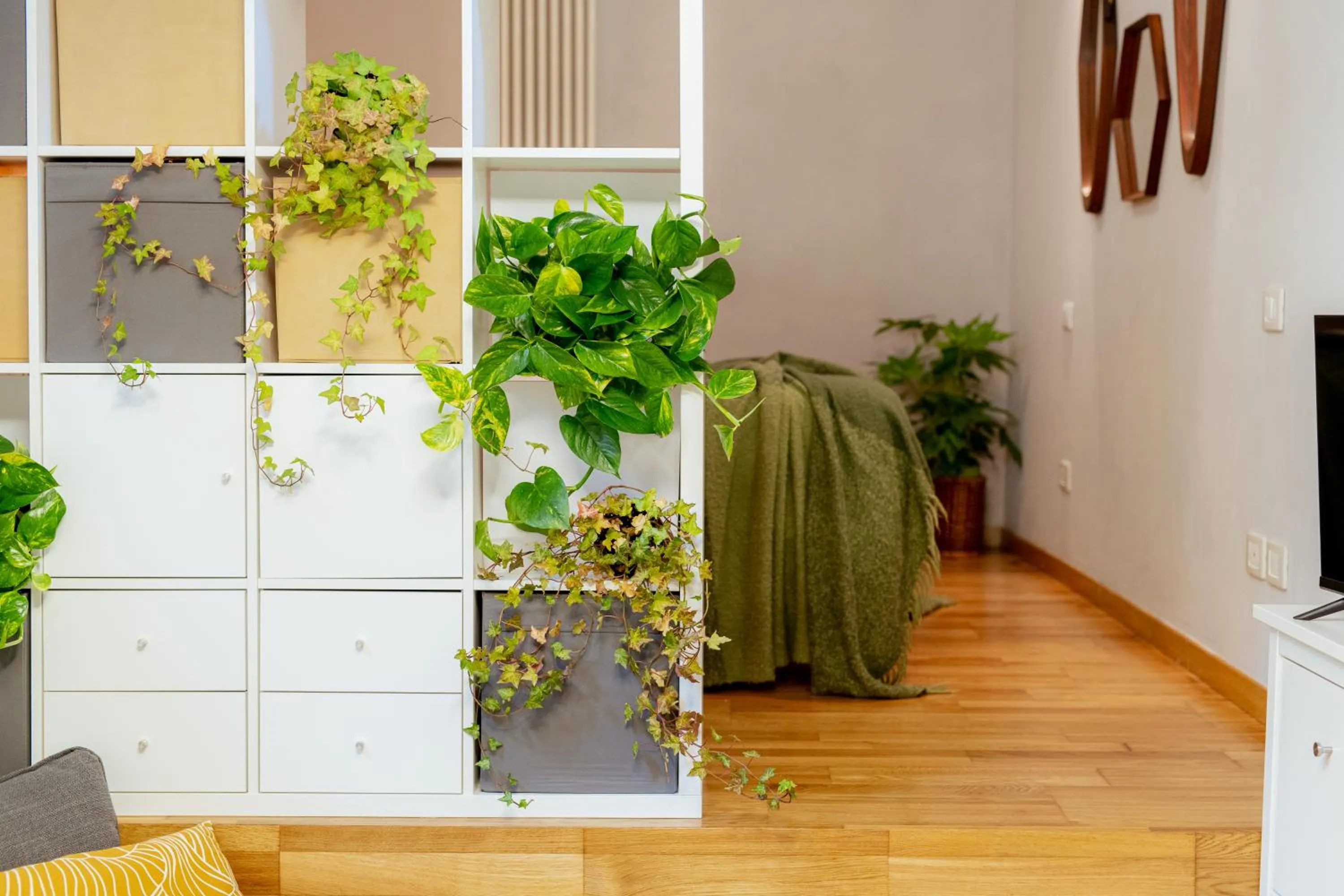 TV and multimedia in Il Cortile di Elisa & our flats