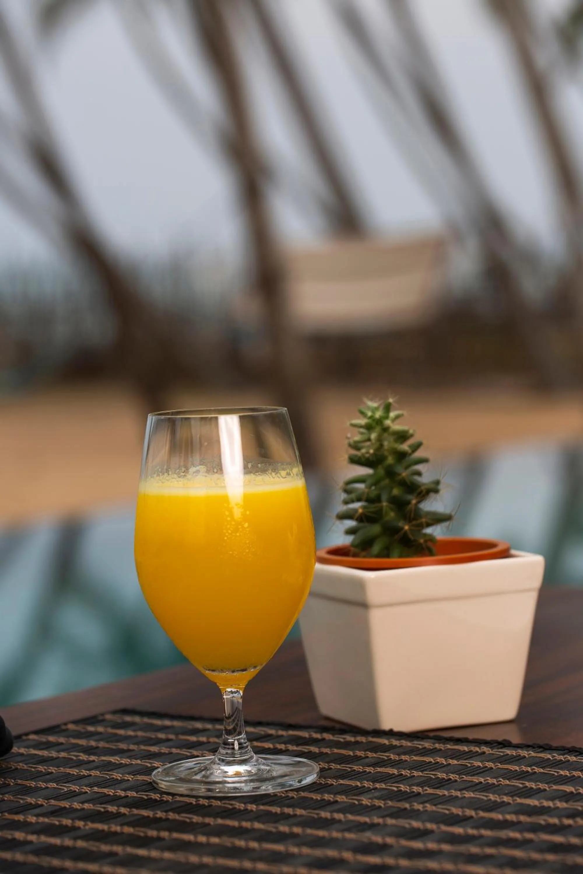 Non alcoholic drinks in Serendivi Resort Villa