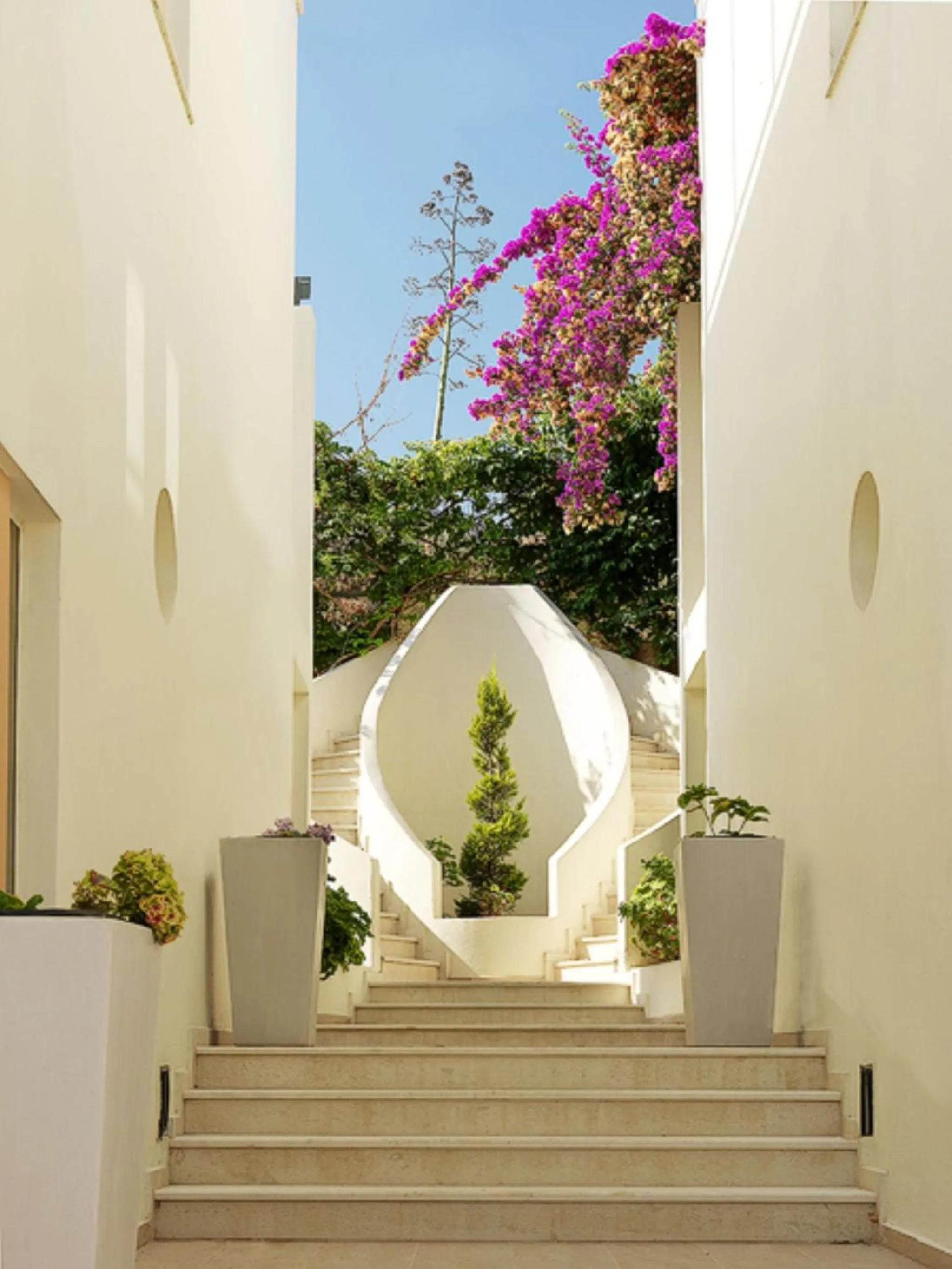 Other in Forum Suites