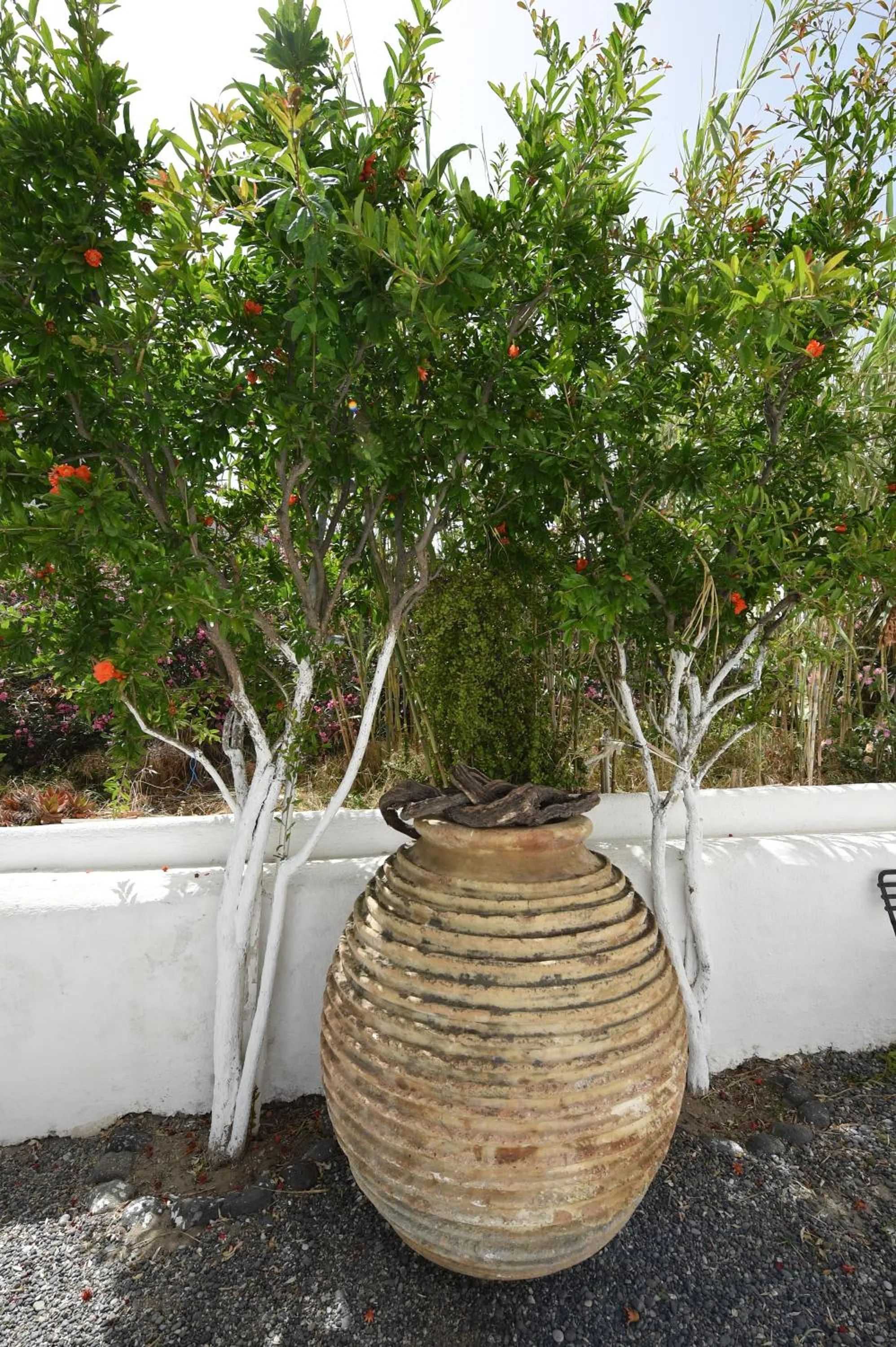 Garden in Sunflower ApartHotel