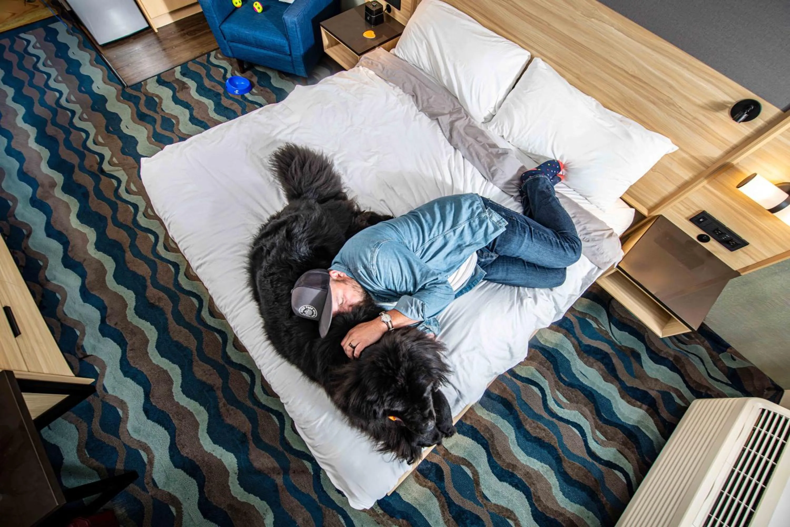 Bed in Accent Inns Victoria