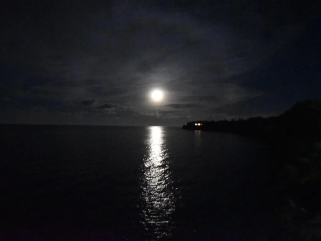 View (from property/room) in Shipwatcher Studio w/Mezzanine