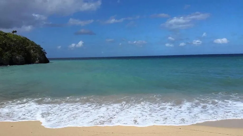 Beach in Shipwatcher Studio w/Mezzanine