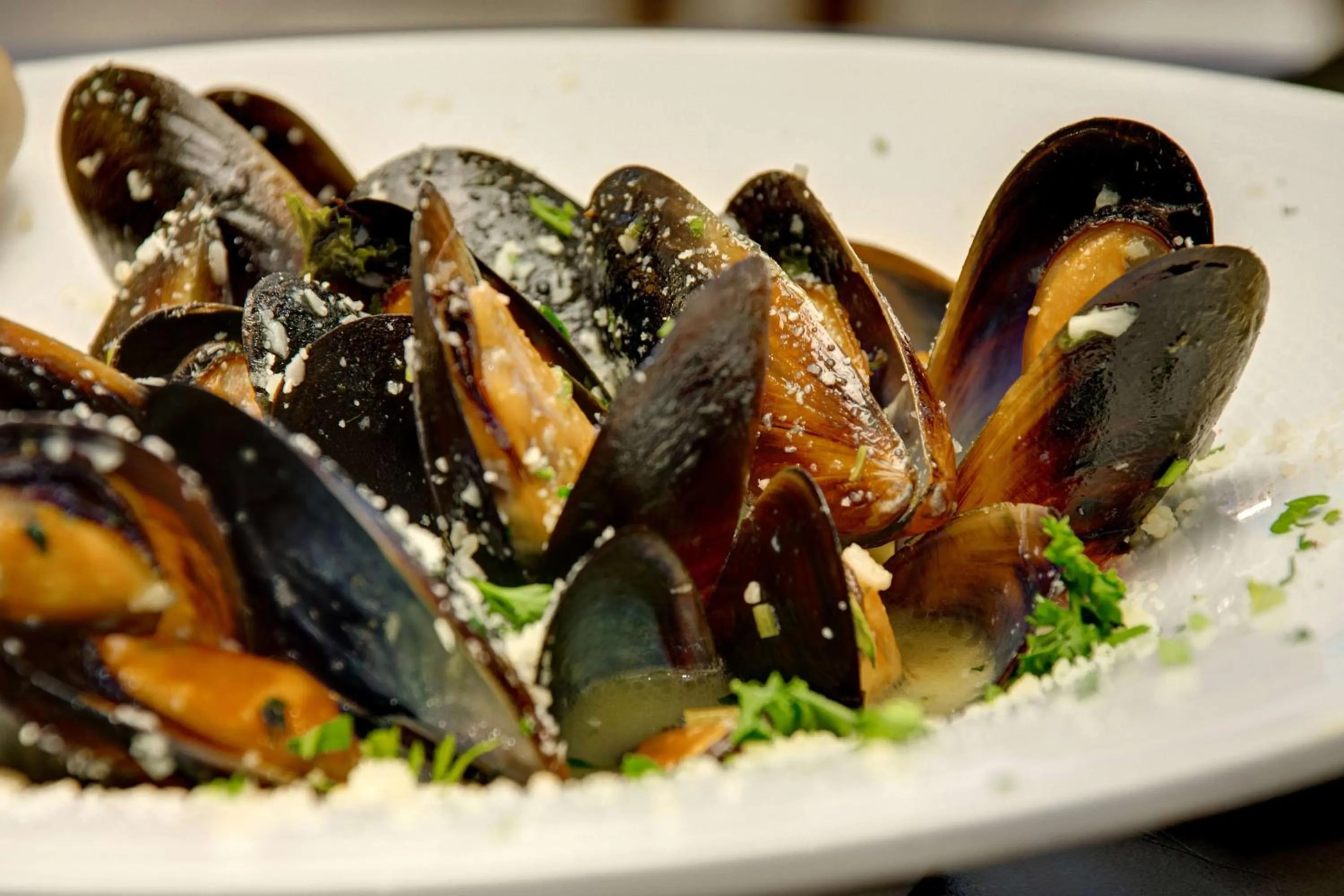 Restaurant/places to eat in Embassy Suites by Hilton Jacksonville Baymeadows