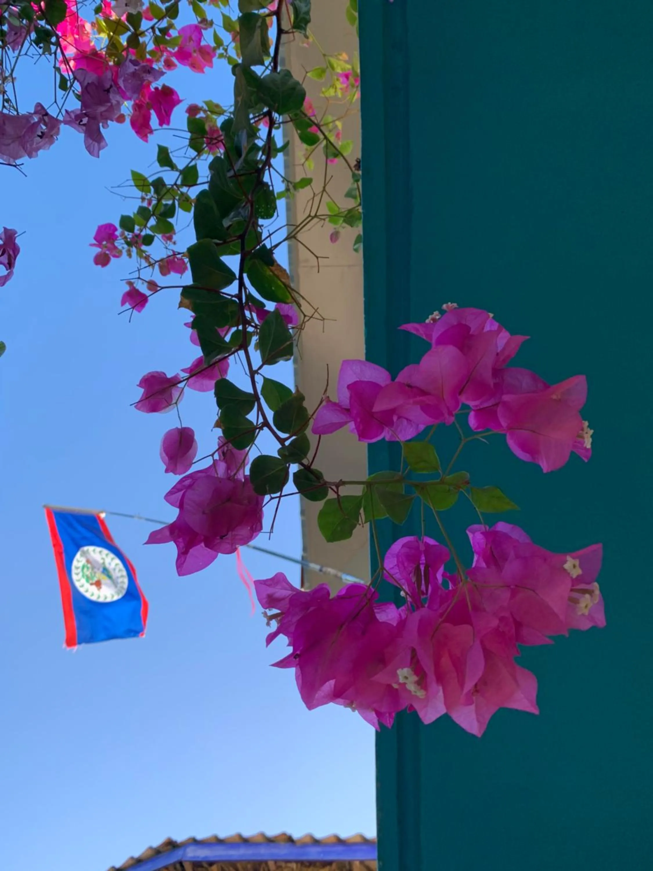 Garden in All Seasons Belize